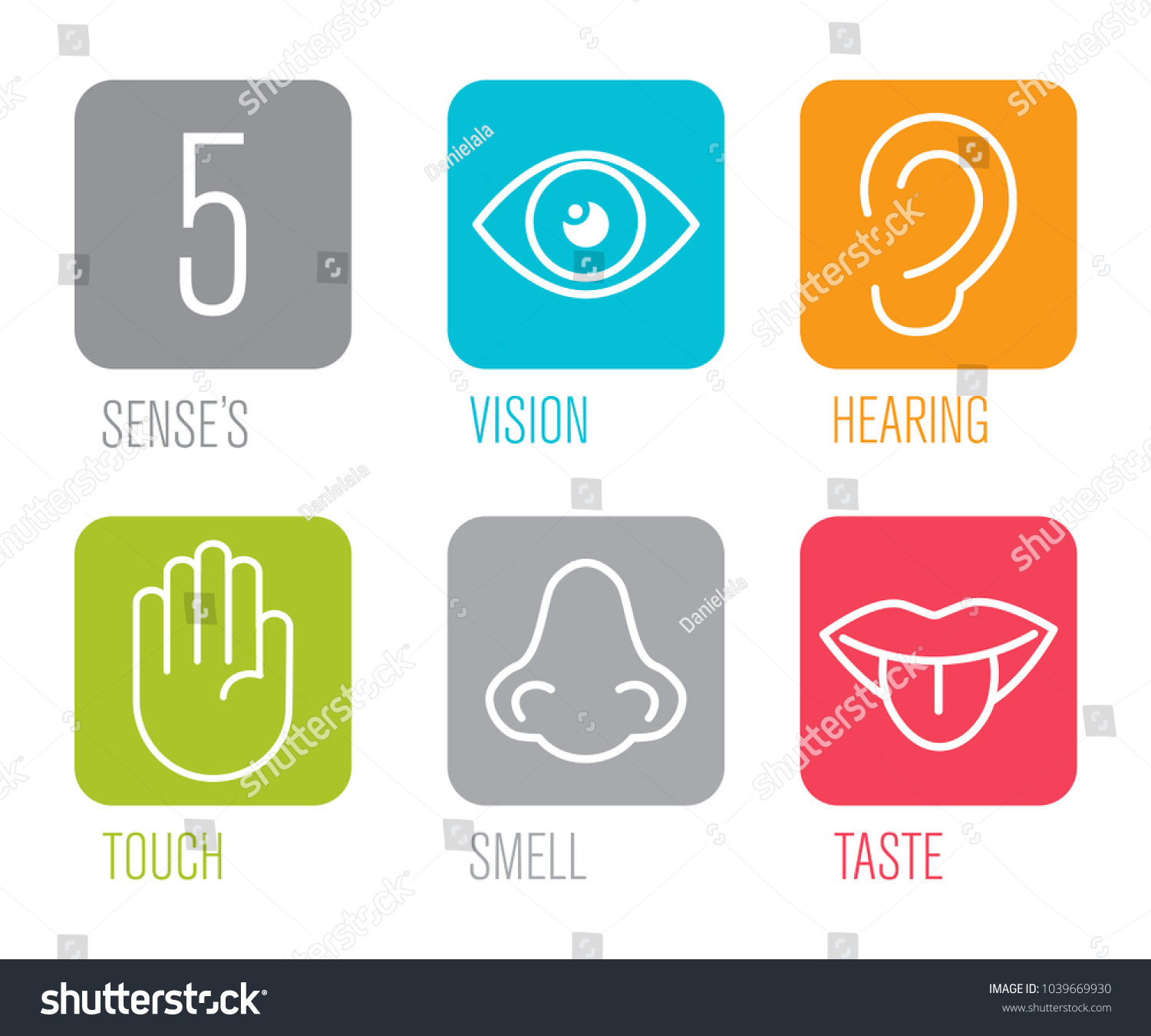 Icon Set Five Human Senses Vision Stock Vector (Royalty Free ...