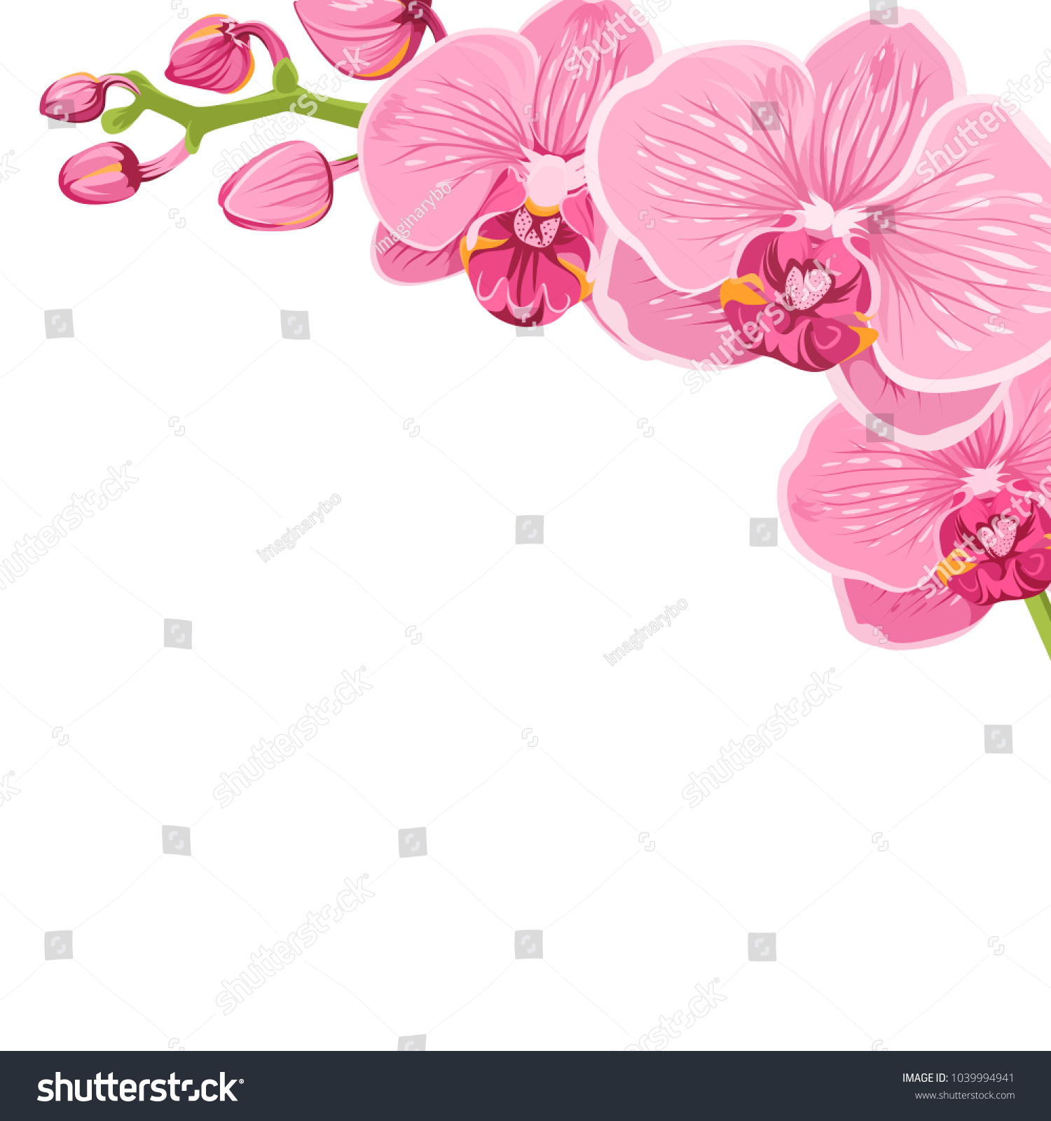 Orchid Floral Branch Corner Frame Decoration Stock Vector (Royalty Free ...