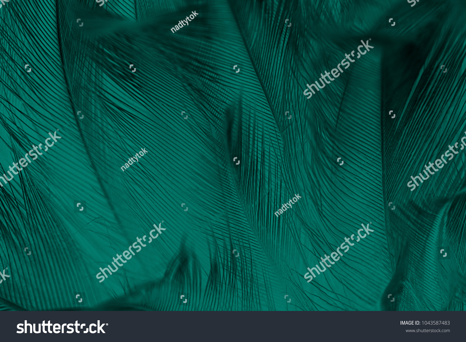 6,821 Emerald green feather Images, Stock Photos & Vectors | Shutterstock