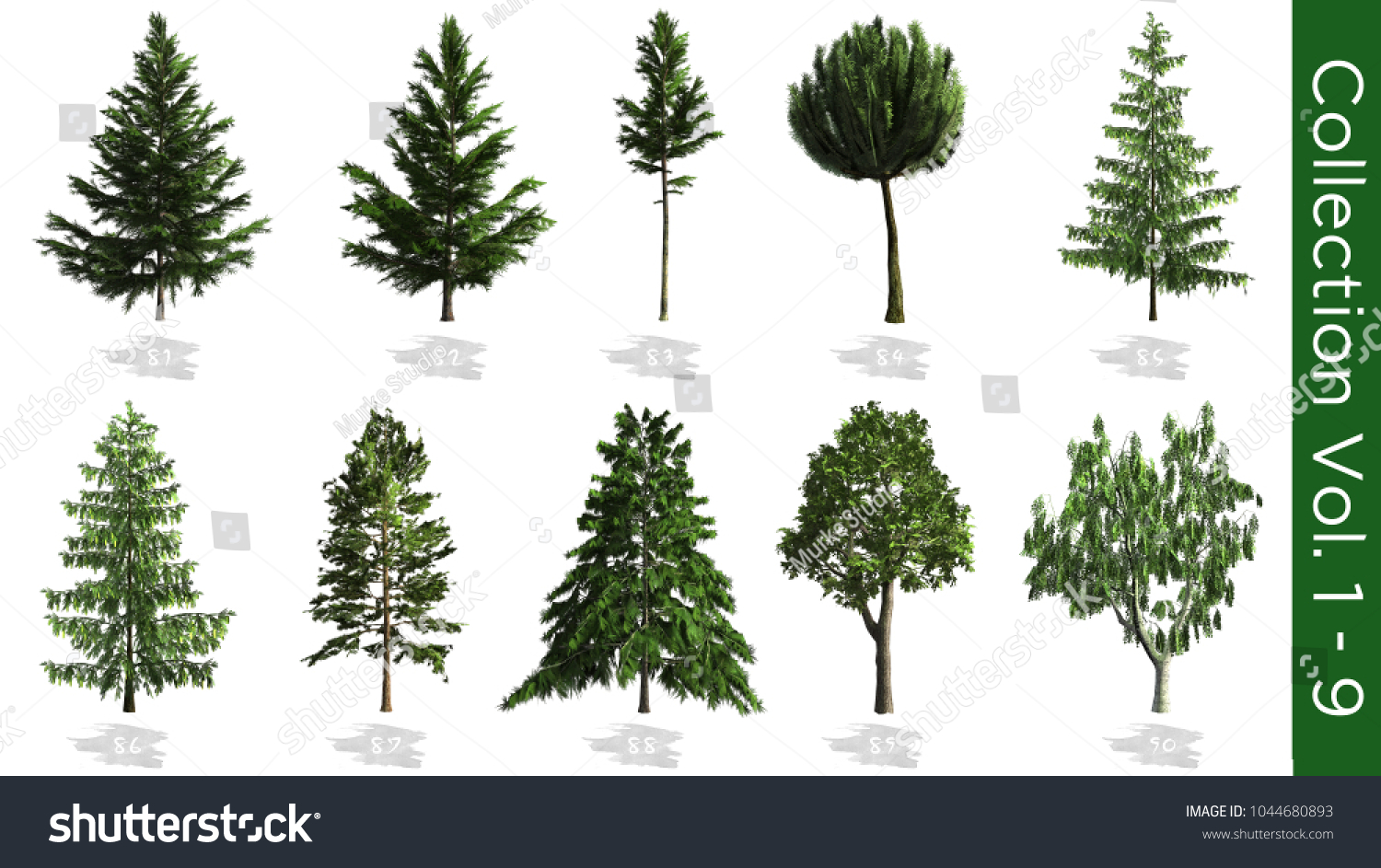 Trees 3drender On White Background Trees Stock Illustration 1044680893 ...