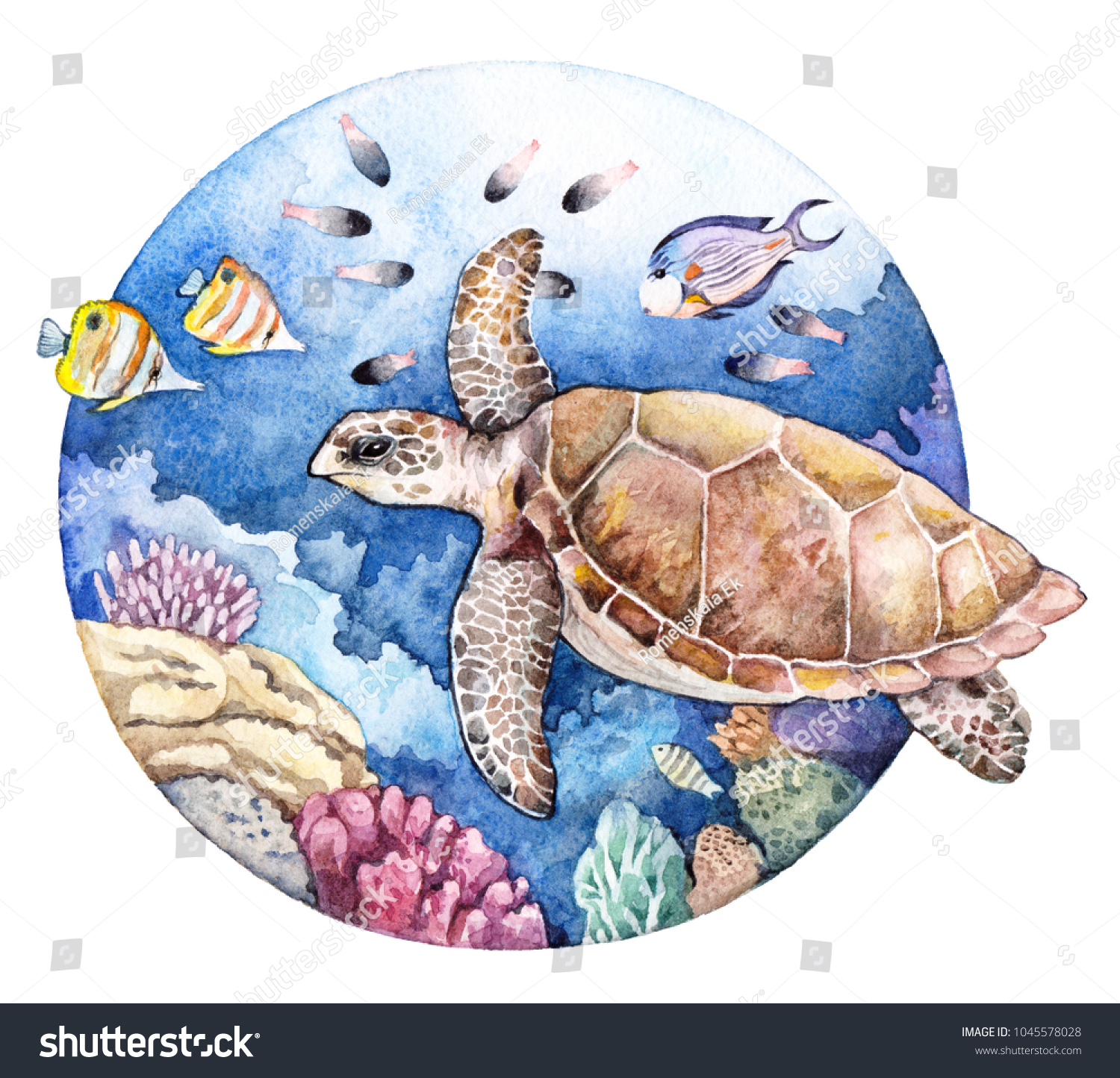 新着商品 サンゴ礁とウミガメ イラスト 色鉛筆画 原画 絵画 タペストリ 新着商品 サンゴ礁とウミガメ イラスト 色鉛筆画 原画 絵画 タペストリ