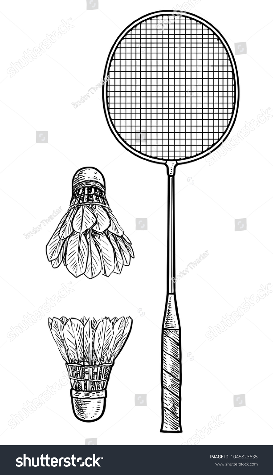 Badminton Racket Ball Illustration Drawing Engraving Stock Vector ...