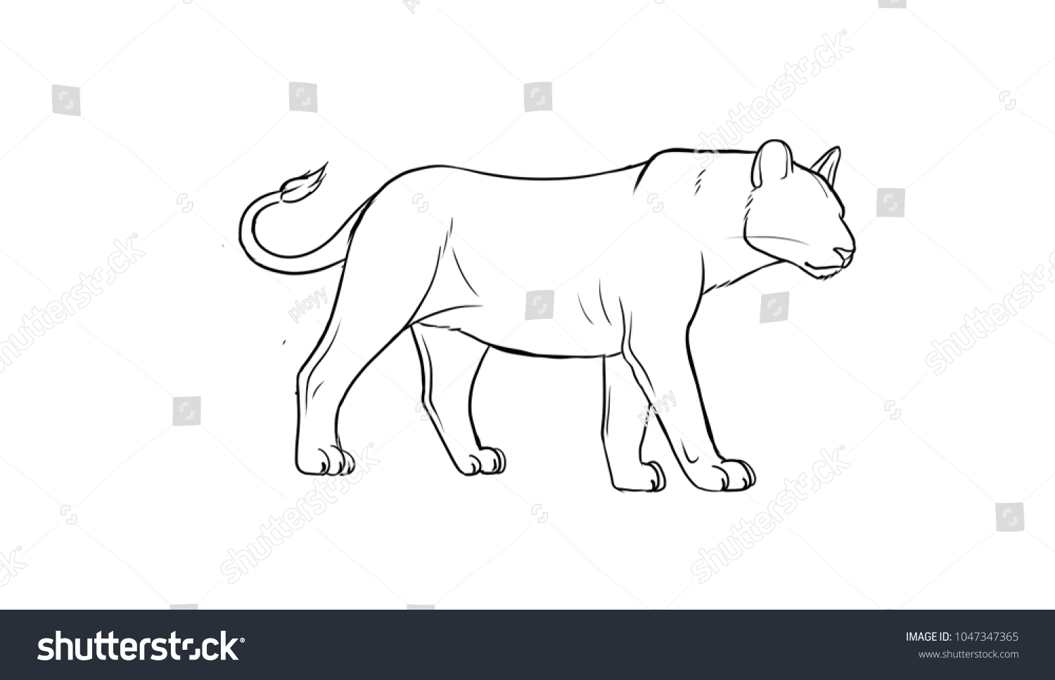 Lion Outline On White Background Stock Illustration 1047347365 ...