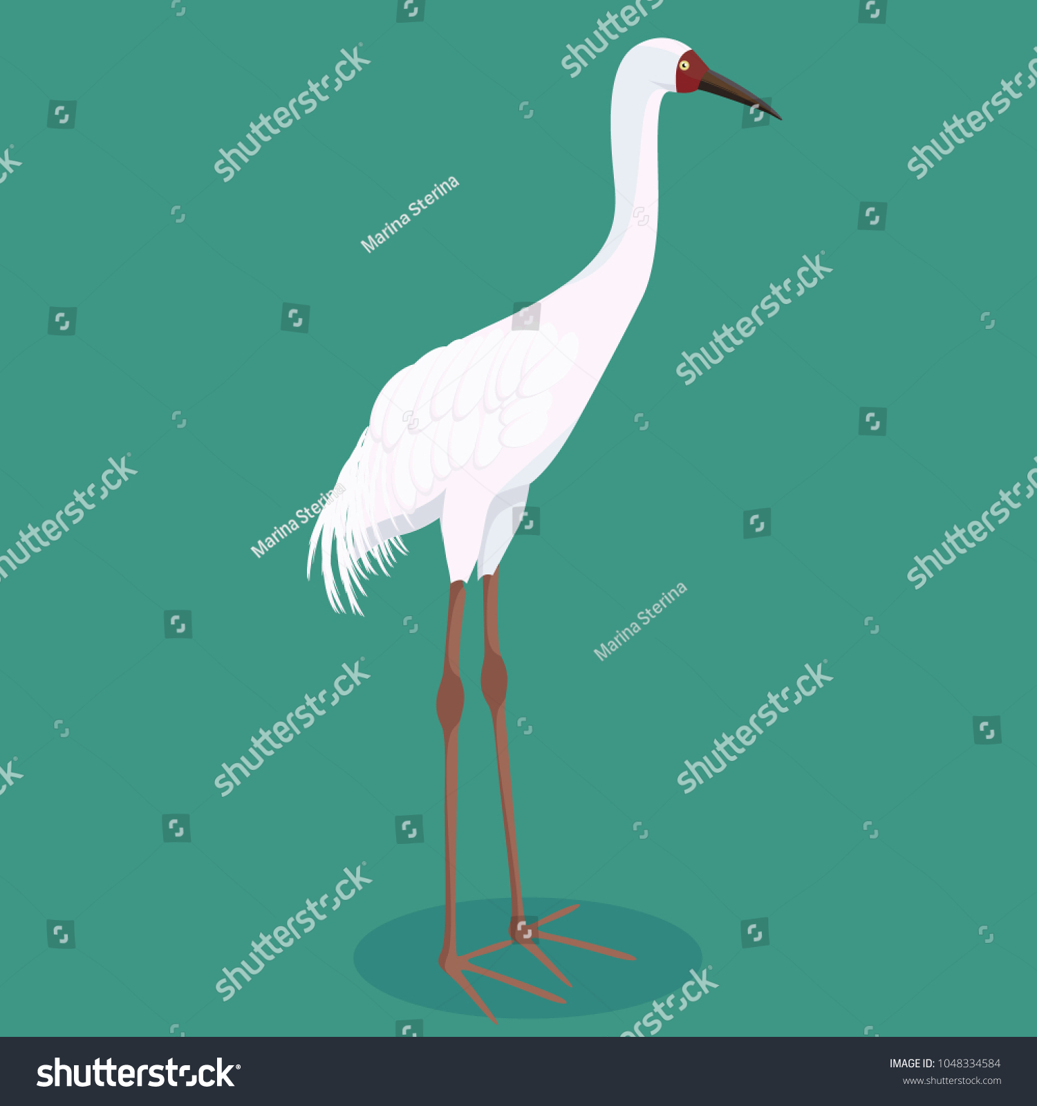 Siberian Crane Cartoon Stock Vector (Royalty Free) 1048334584 ...