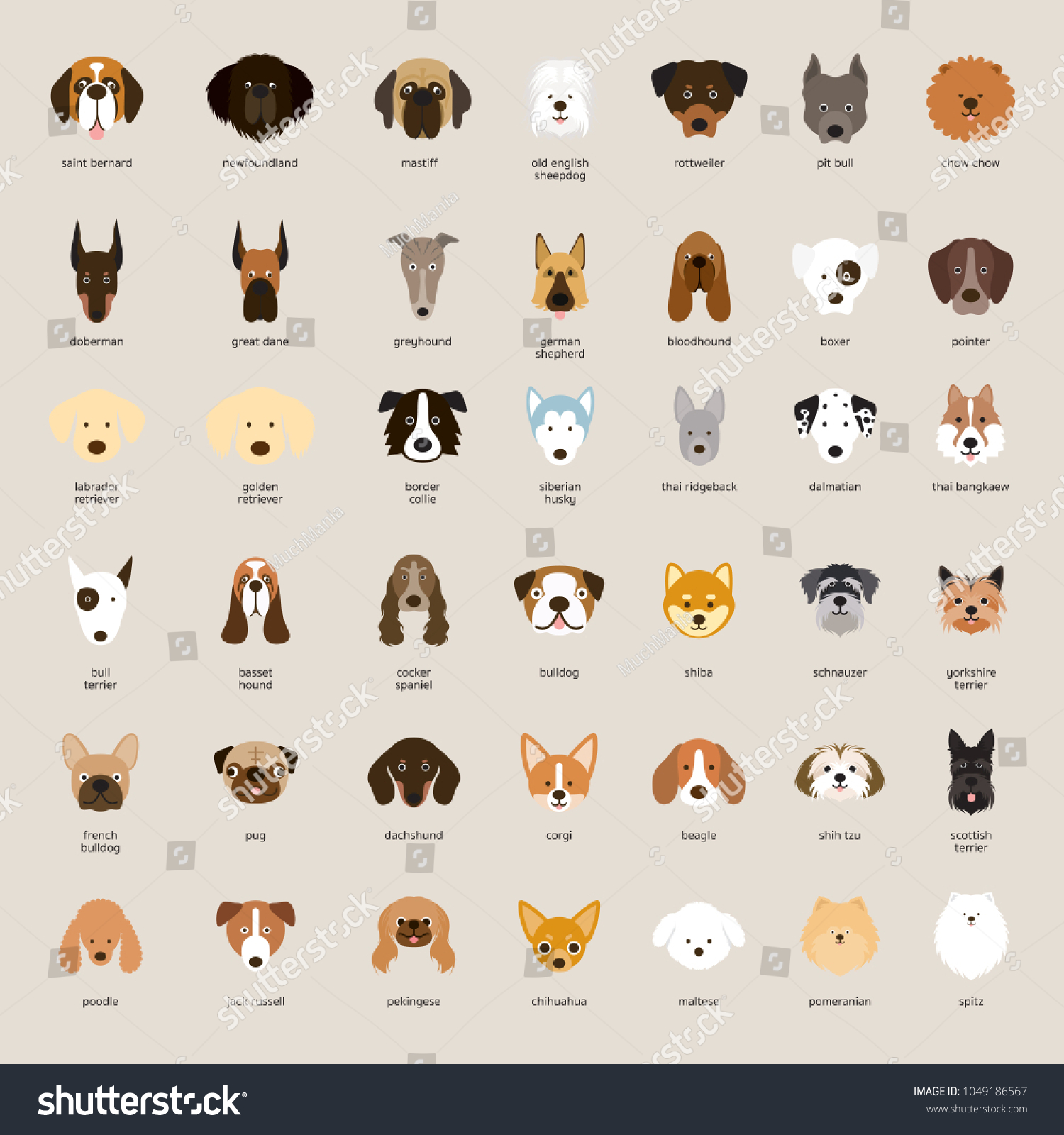 Dog Breeds Head Set Front View Stock Vector (Royalty Free) 1049186567 ...