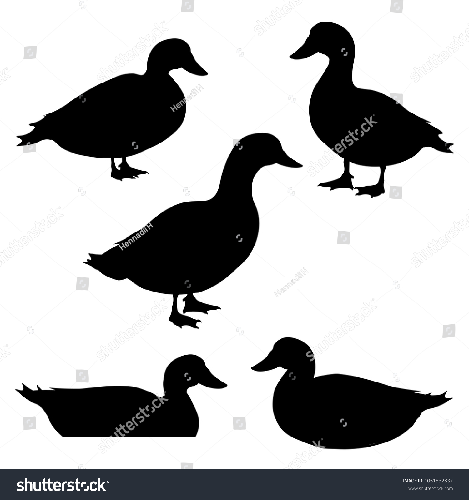 Set Ducks Silhouettes Different Poses Vector Stock Vector (Royalty Free ...