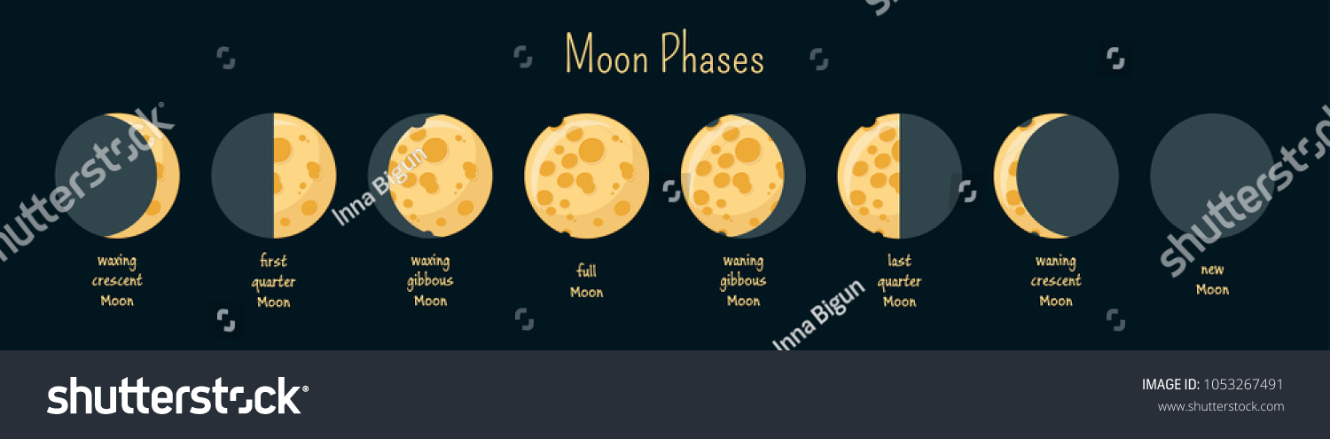 Moon Phases Infographics Cheese Moon Cartoon Stock Vector (Royalty Free ...