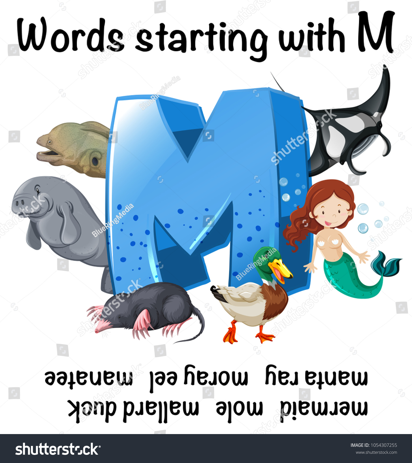 English Worksheet Words Starting M Illustration Stock Vector (Royalty