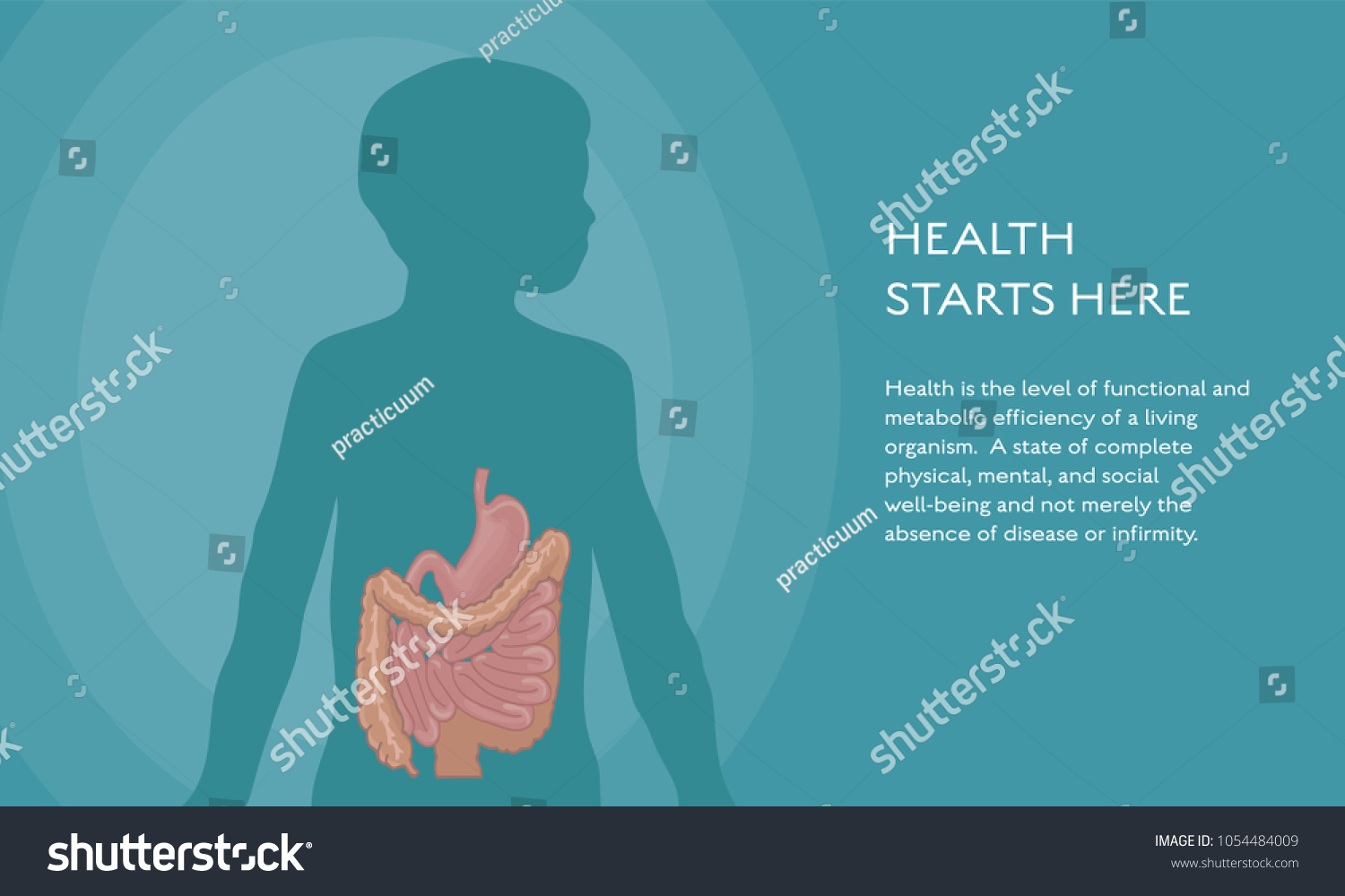 vektor-stok-human-stomach-bowel-digestive-system-anatomical-tanpa