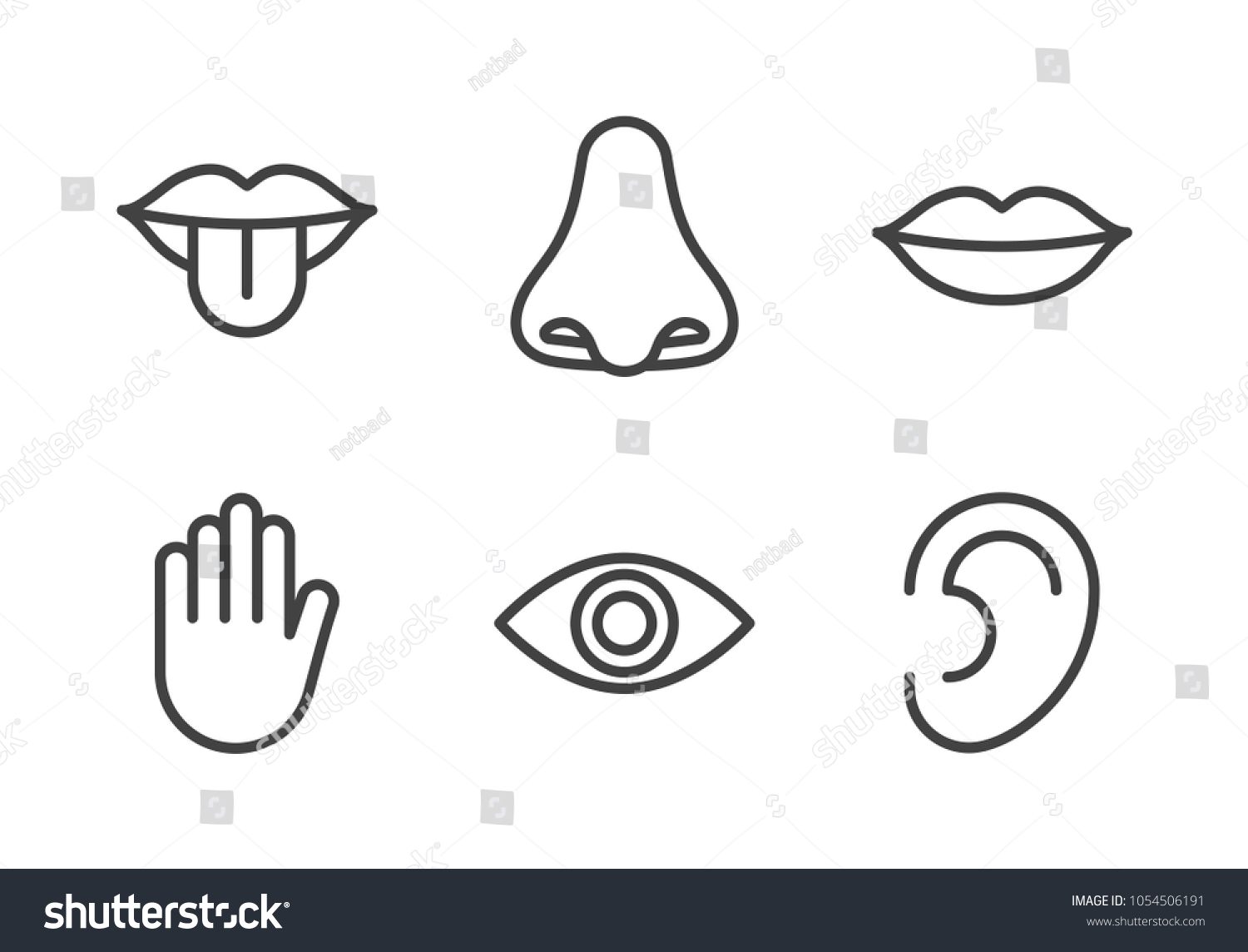 Outline Icon Set Five Human Senses Stock Vector (Royalty Free ...