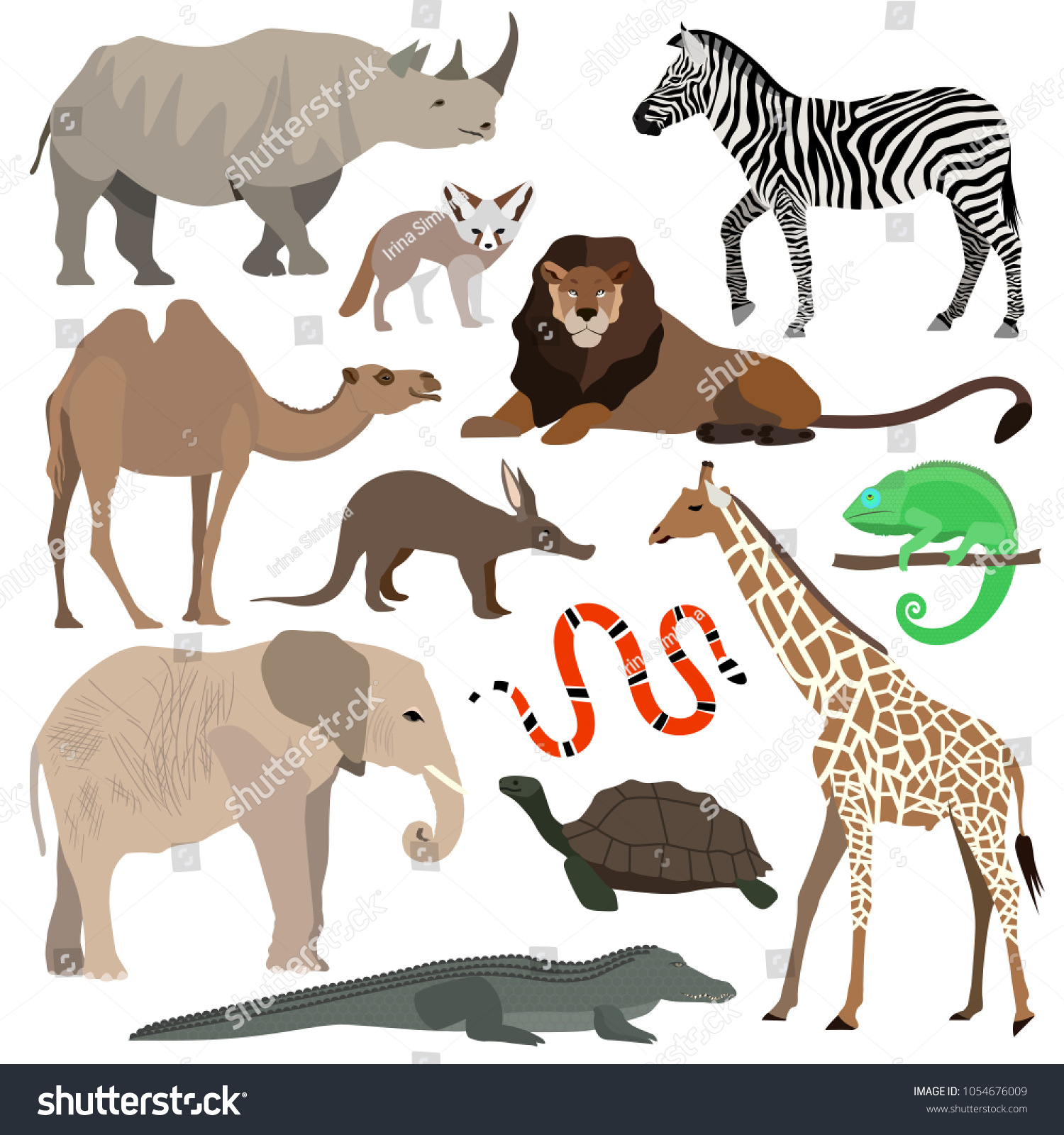 African Animals Set Elephant Giraffe Rhino Stock Vector (Royalty Free