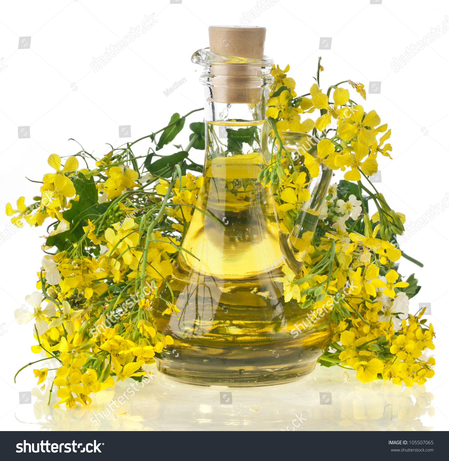 Цветы рапса с маслом