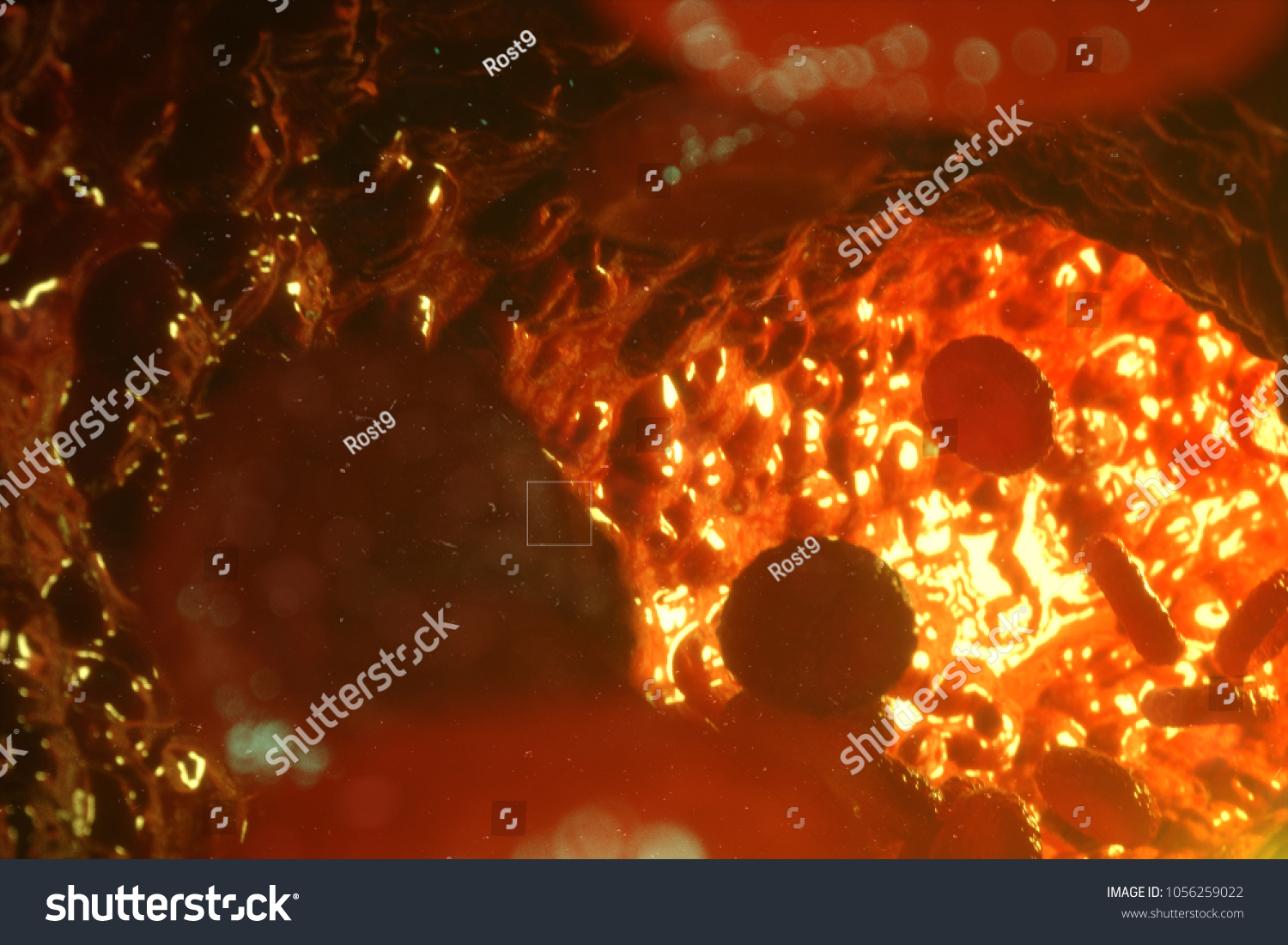 ilustrasi-stok-red-blood-cells-vein-artery-flow-1056259022-shutterstock