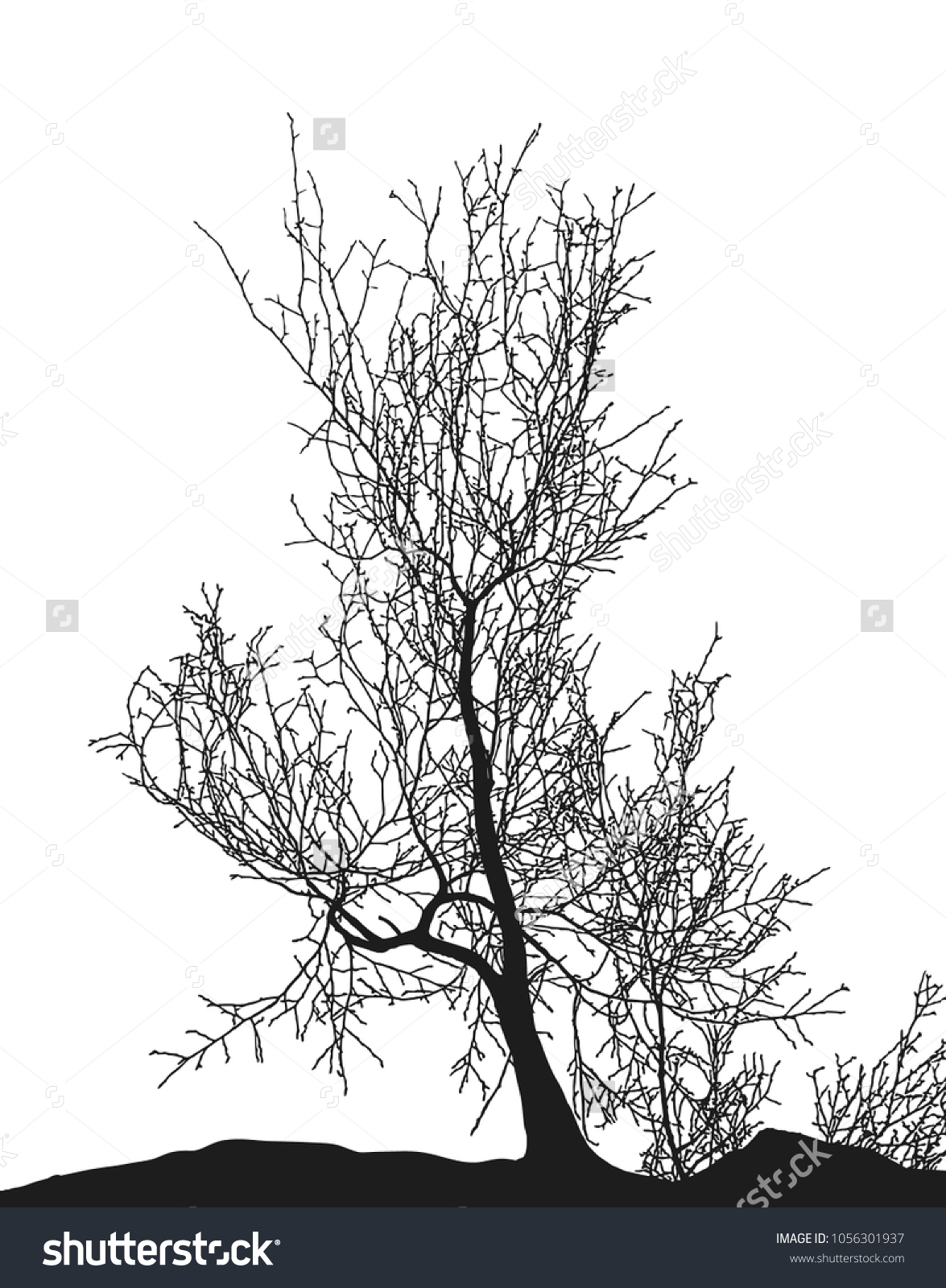 Realistic Tree Silhouette Vector Illustrationeps10 Stock Vector ...