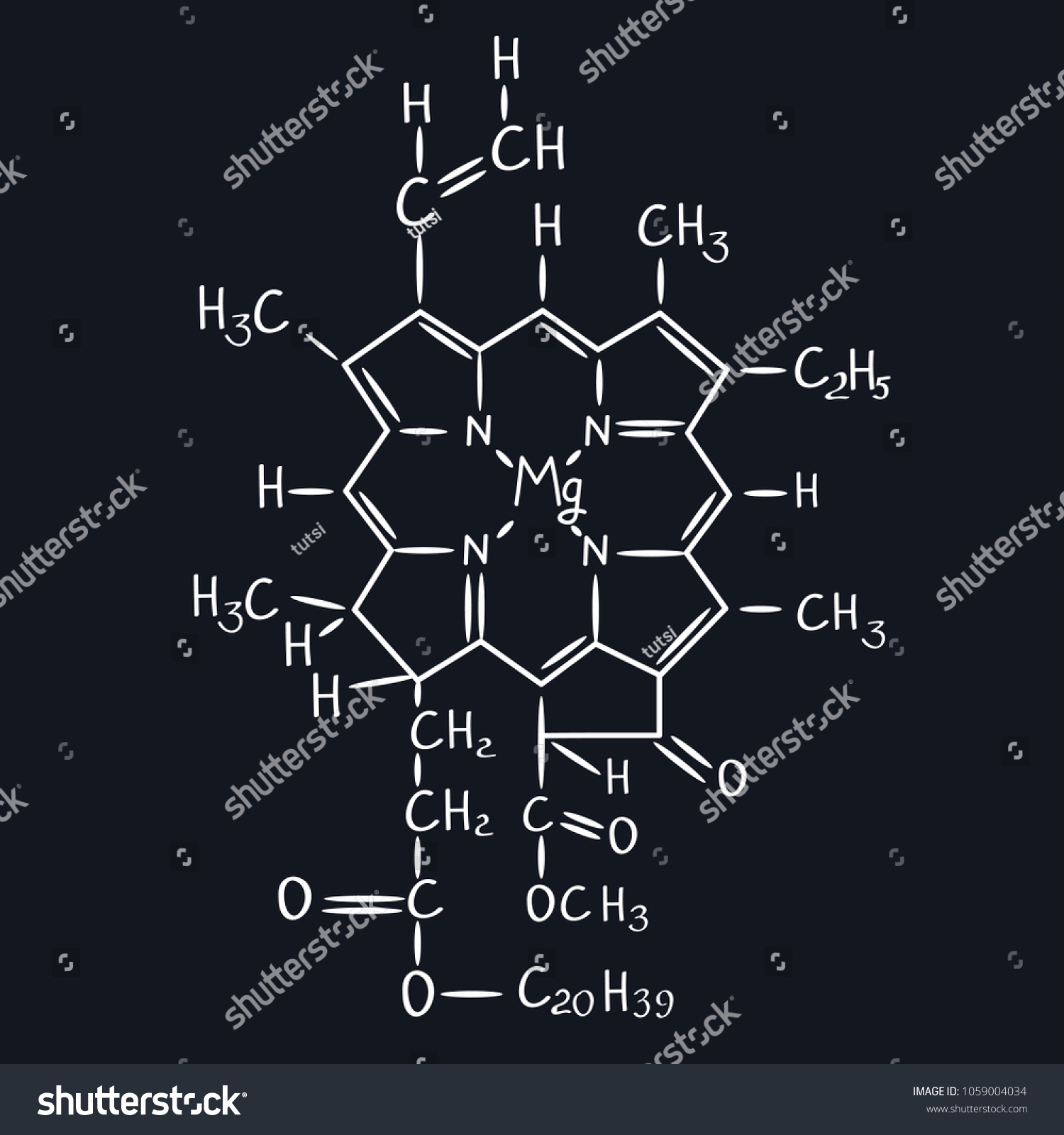 Structural Formula Plant Chlorophyll Vector Illustration: เวกเตอร์สต็อก ...