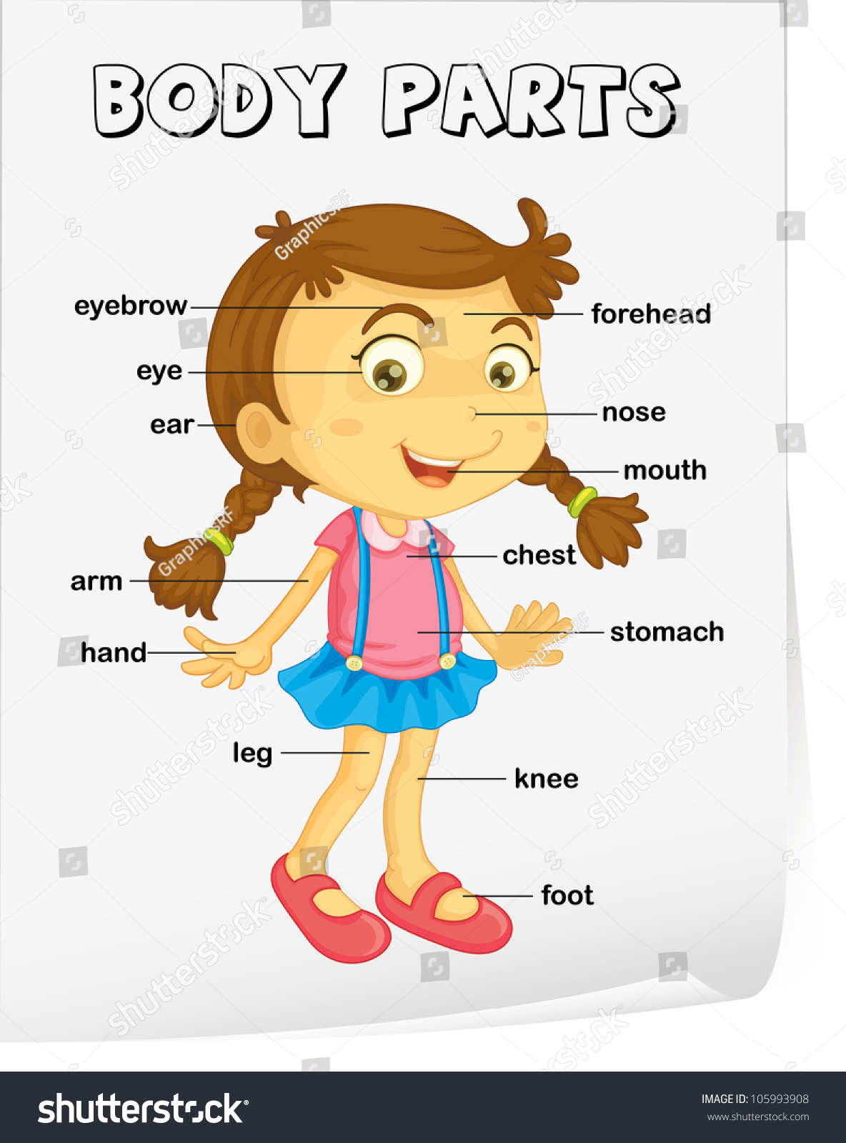 Vocabulary Worksheet Parts Body Stock Illustration 105993908 | Shutterstock