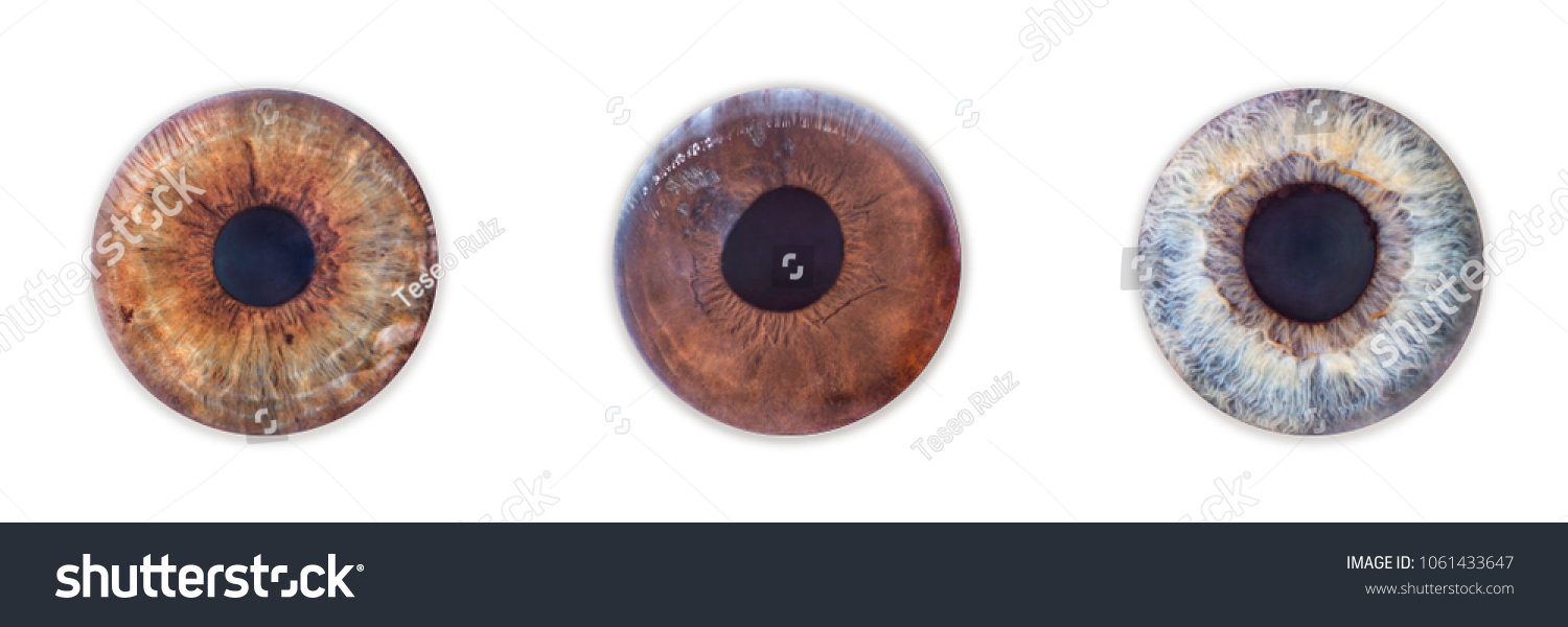 Imagenes De Ojos Stock Photo 1061433647 | Shutterstock