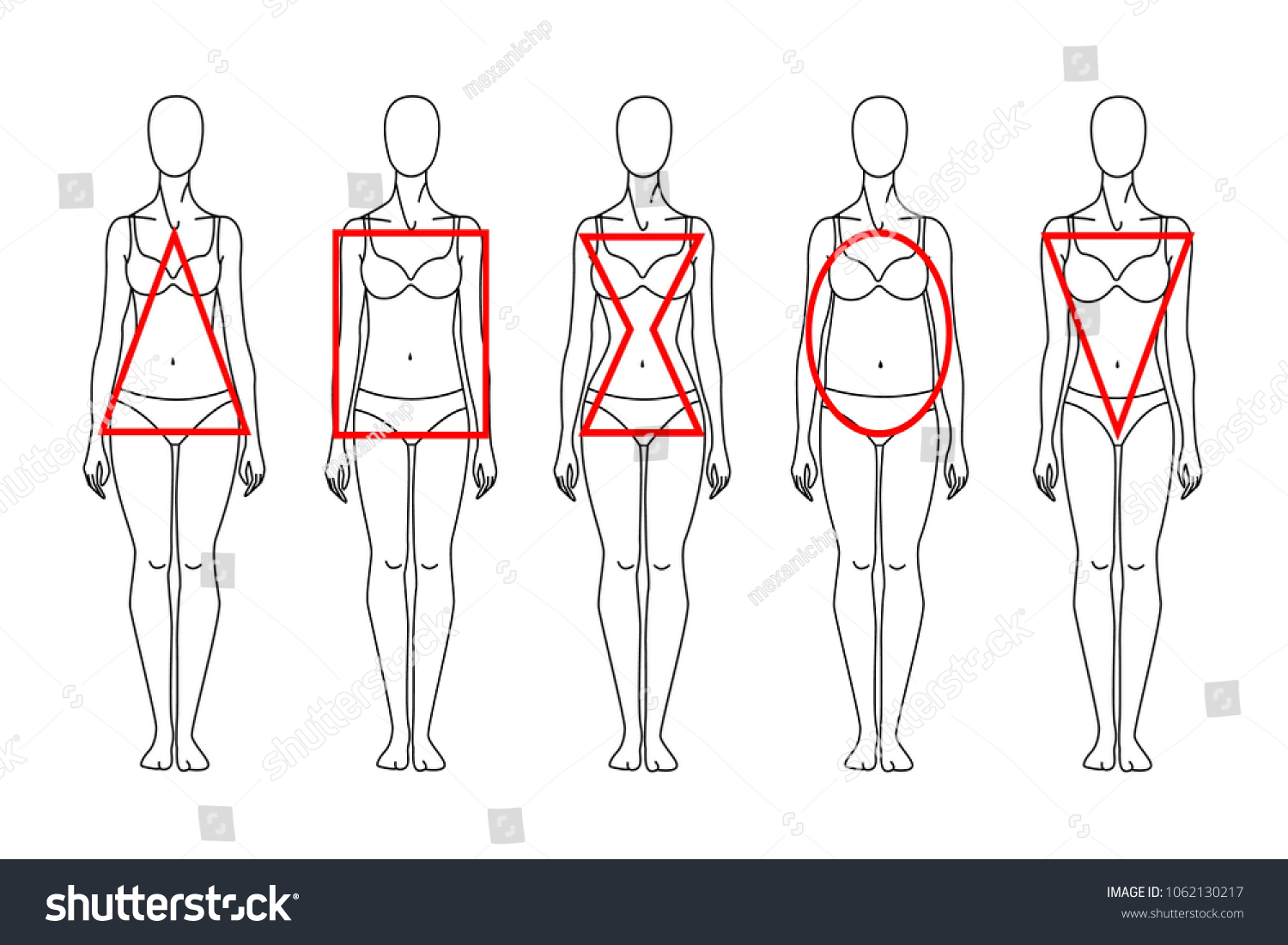 Types Female Figure Triangle Rectangle Hourglass Stock Vector (Royalty ...