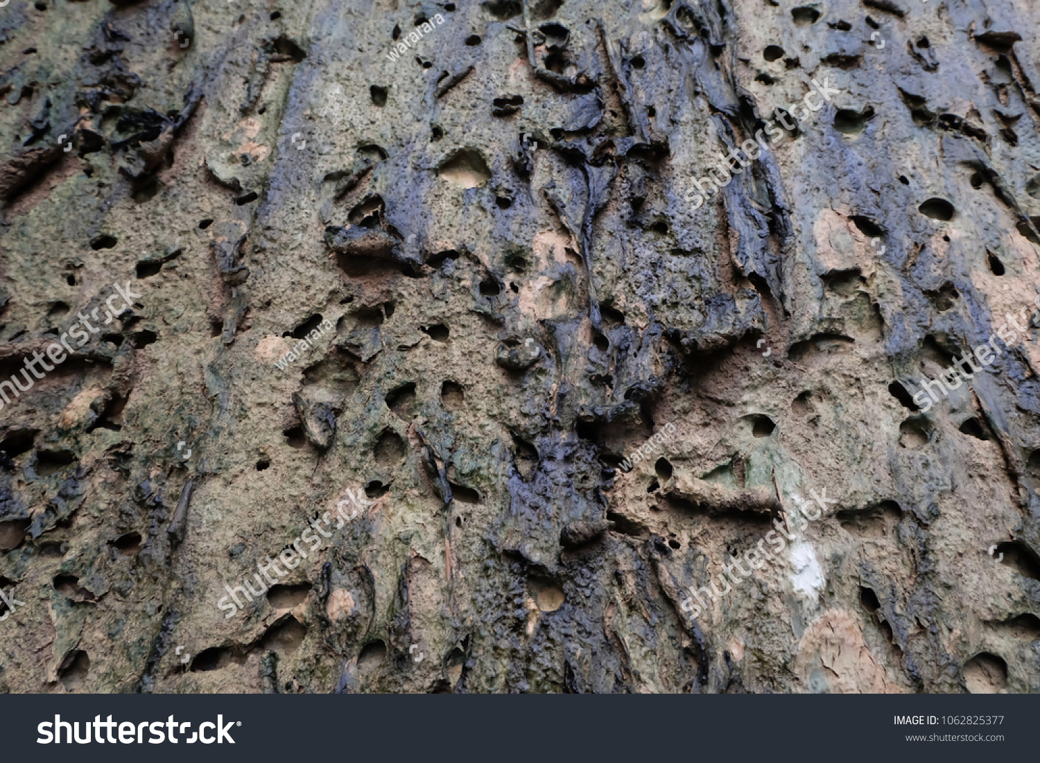 Dry Land Soil Texture Background Stock Photo 1062825377 | Shutterstock