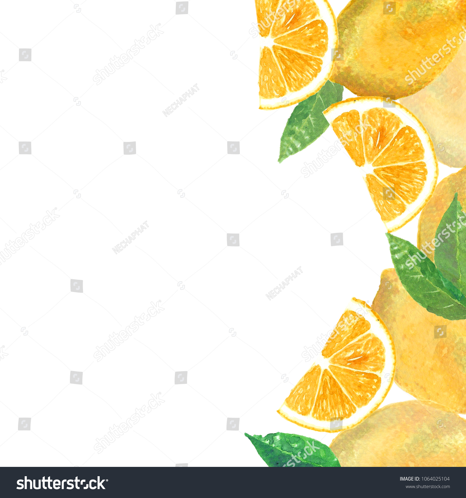 Watercolor Lemon Background Summer Fresh Slice Stock Illustration Shutterstock