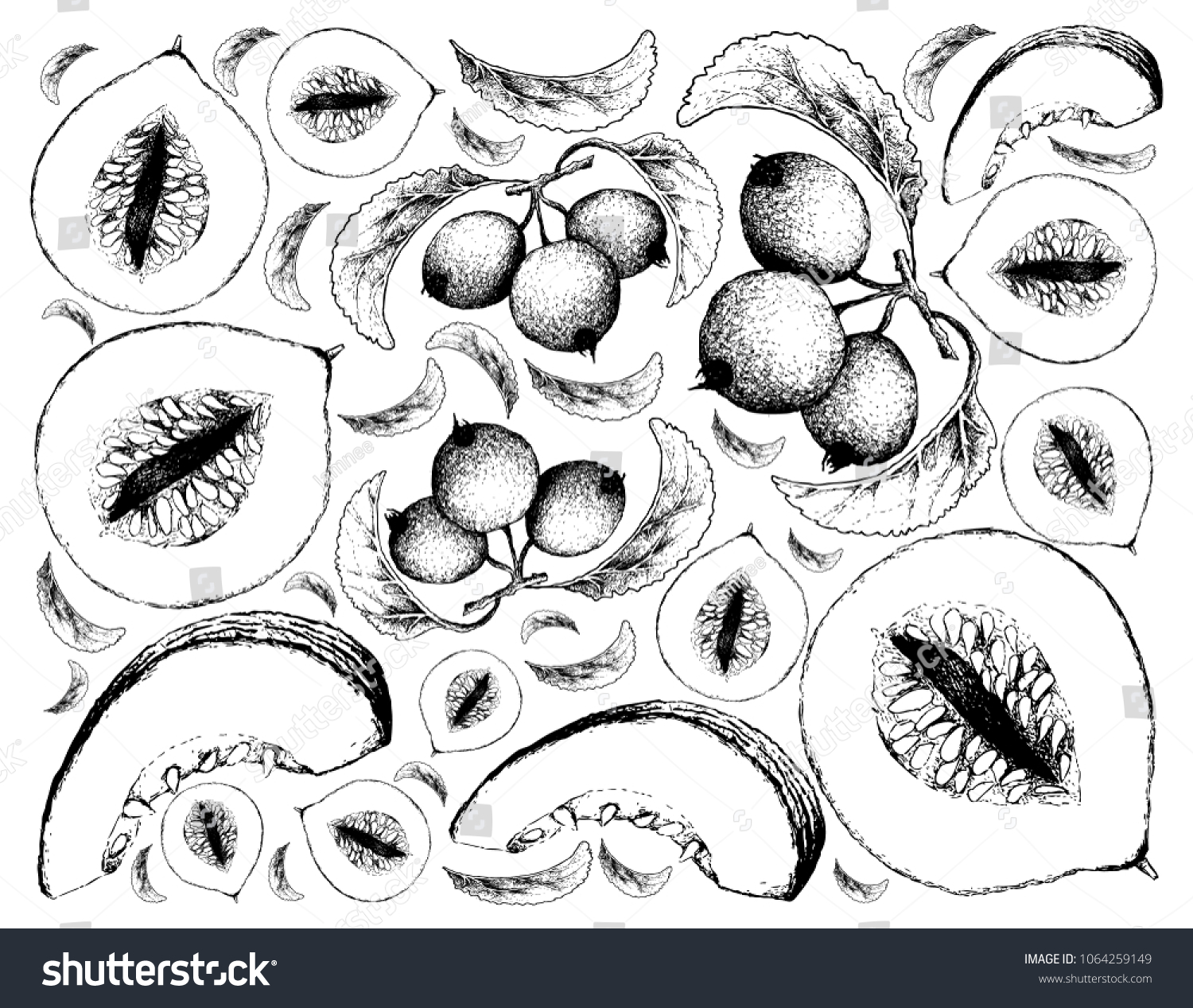 Exotic Fruit Illustration Wallpaper Background Hand Stock Vector ...