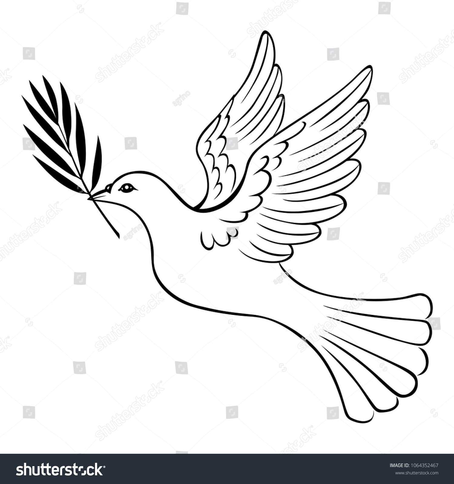Vector Illustrations Contour White Dove Palm Stock Vector (Royalty Free ...