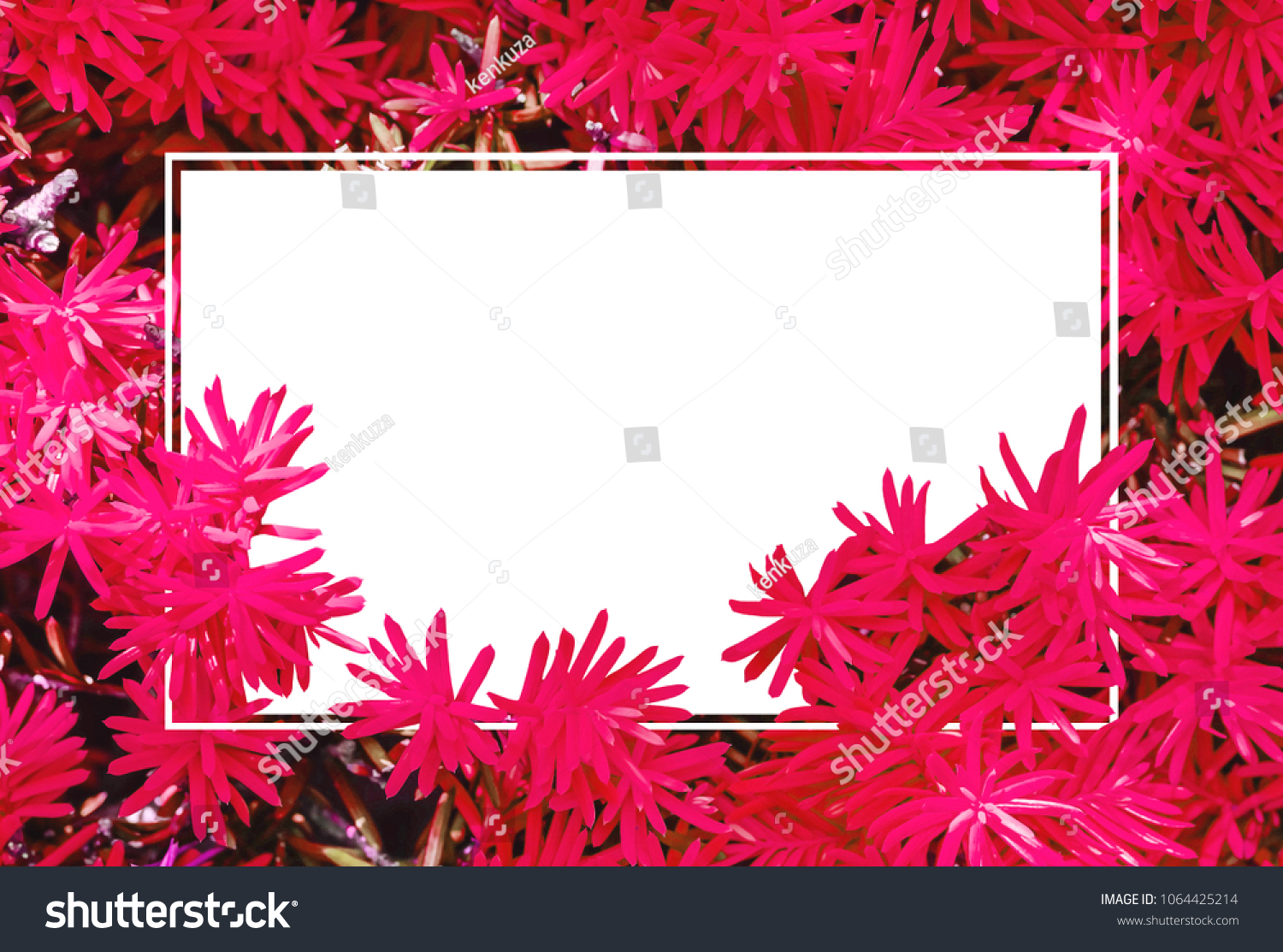 Closeup White Space Frame By Fresh Stock Photo 1064425214 | Shutterstock