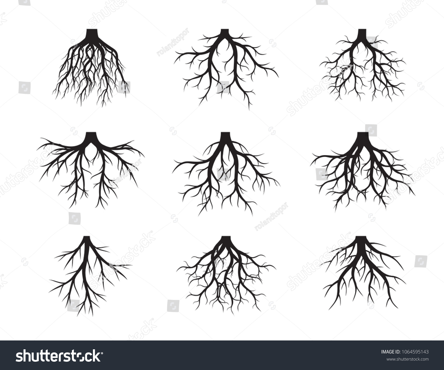 Set Black Roots Tree Vector Illustration Stock Vector (Royalty Free ...