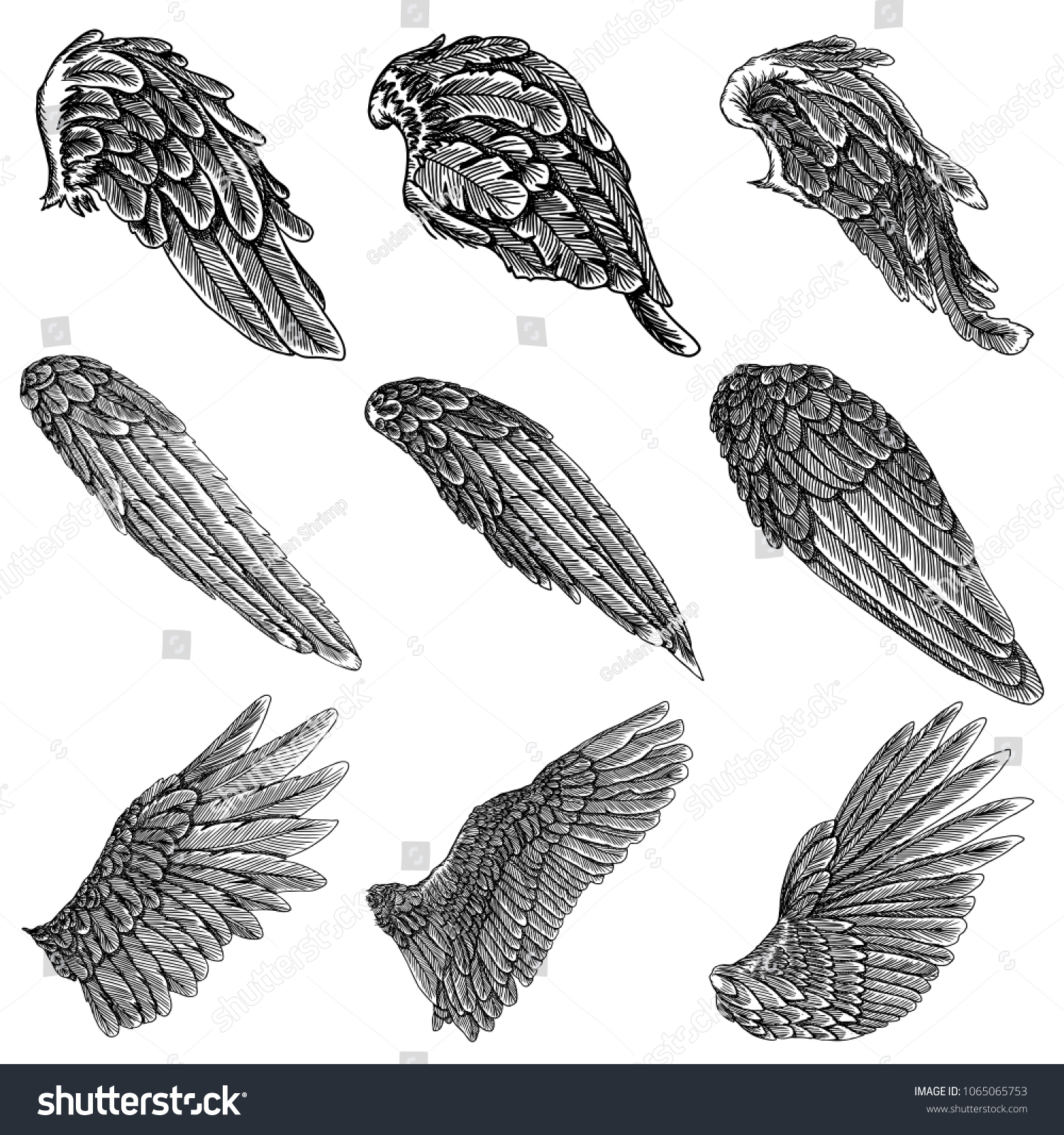 Птичьи Крылья сложенные