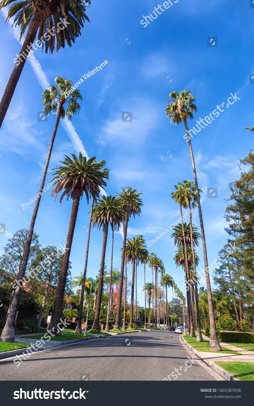 1,163 Beverly Hills Homes Images, Stock Photos & Vectors | Shutterstock