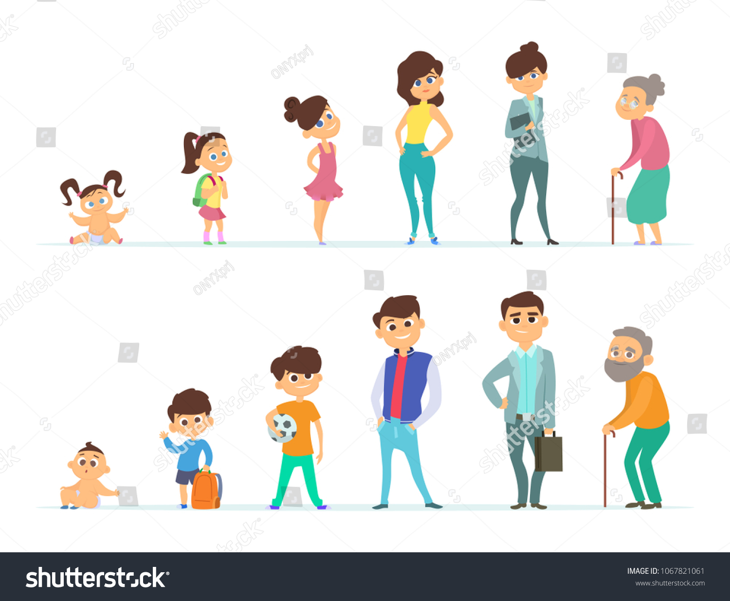 Life Cycle Male Female Different Characters Ilustrações Stock 1067821061 Shutterstock