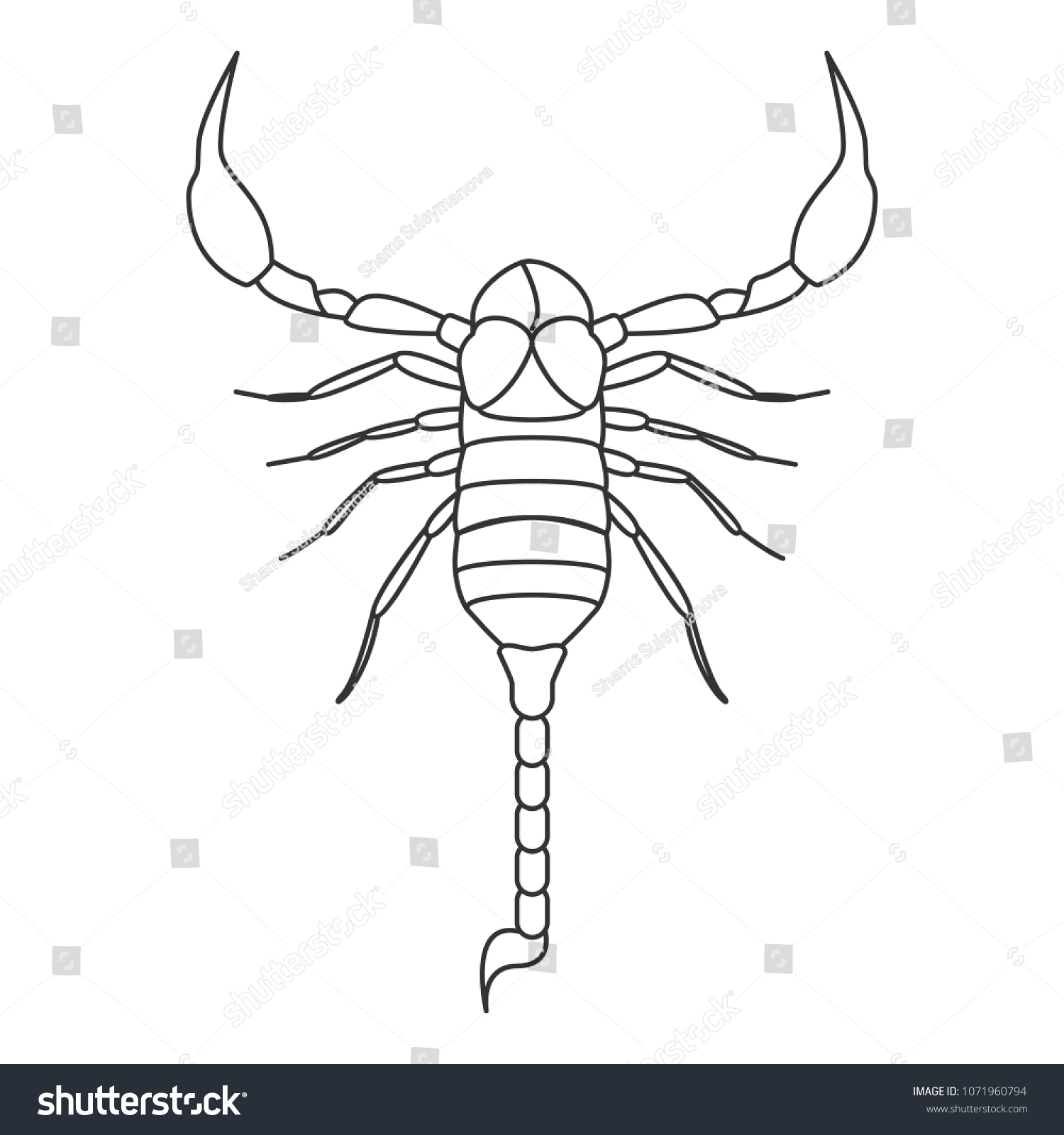 Scorpion Icon Simple Element Illustration Scorpion Stock Vector 