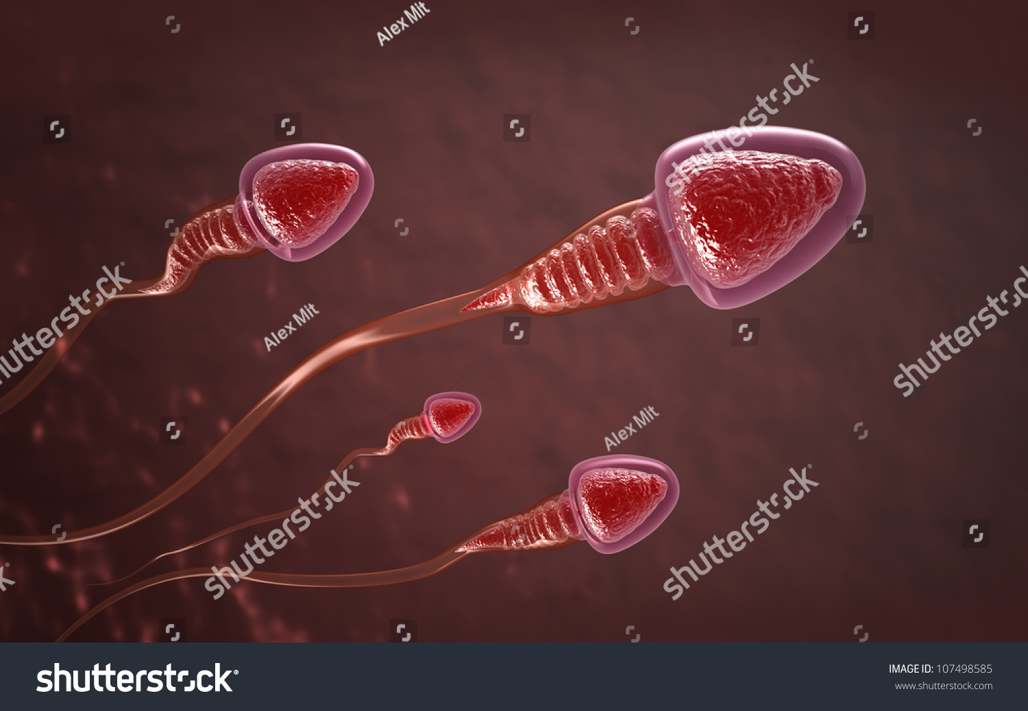 можно ли забеременеть при лейкоцитах в сперме фото 28