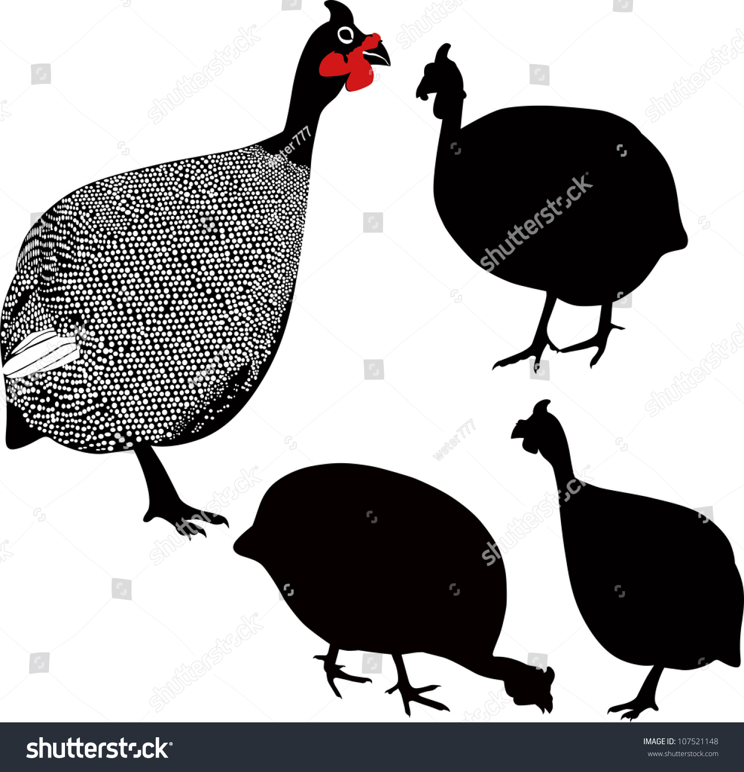 Set Guinea Fowl Isolated On White Stock Vector (Royalty Free) 107521148 ...