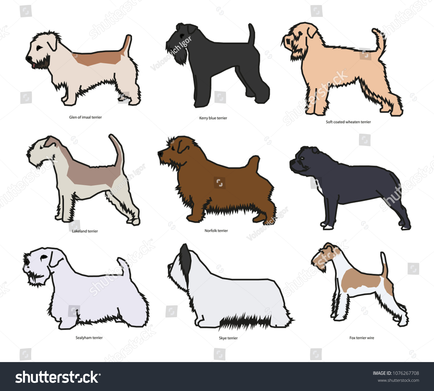 Dog Breed Set Vector Illustration Stock Vector (Royalty Free ...