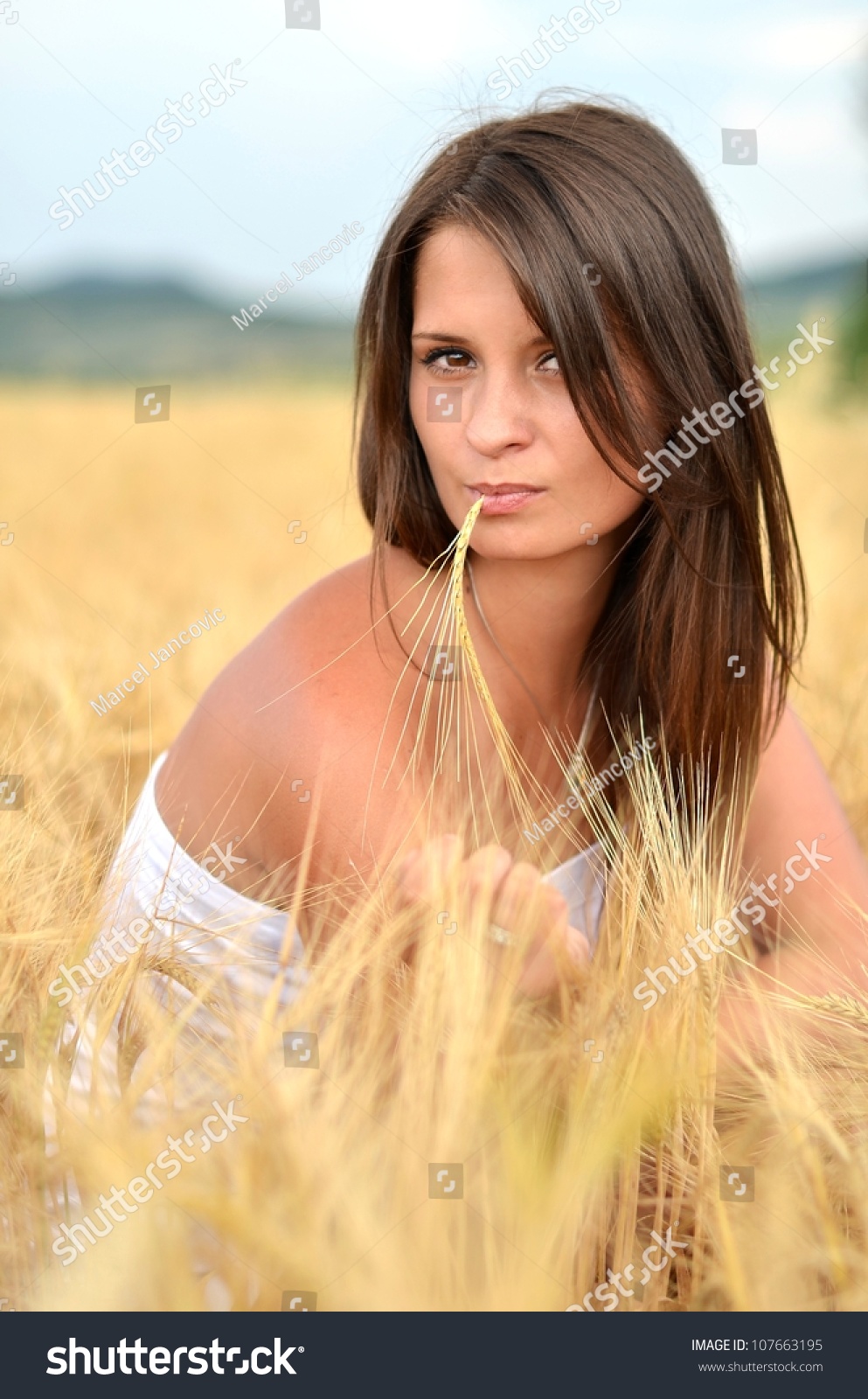 Sexy Woman Golden Wheat Foto Stok 107663195 Shutterstock