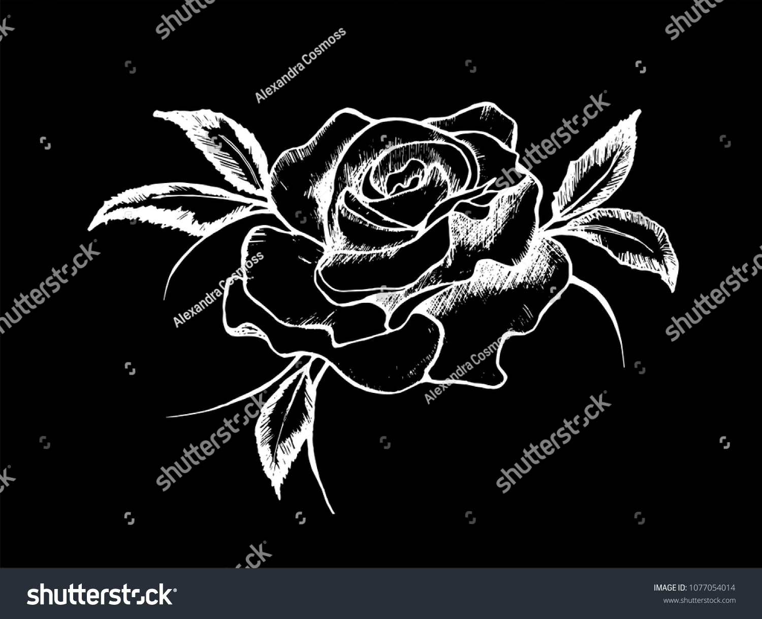 3,135 Chalk drawing rose Images, Stock Photos & Vectors | Shutterstock