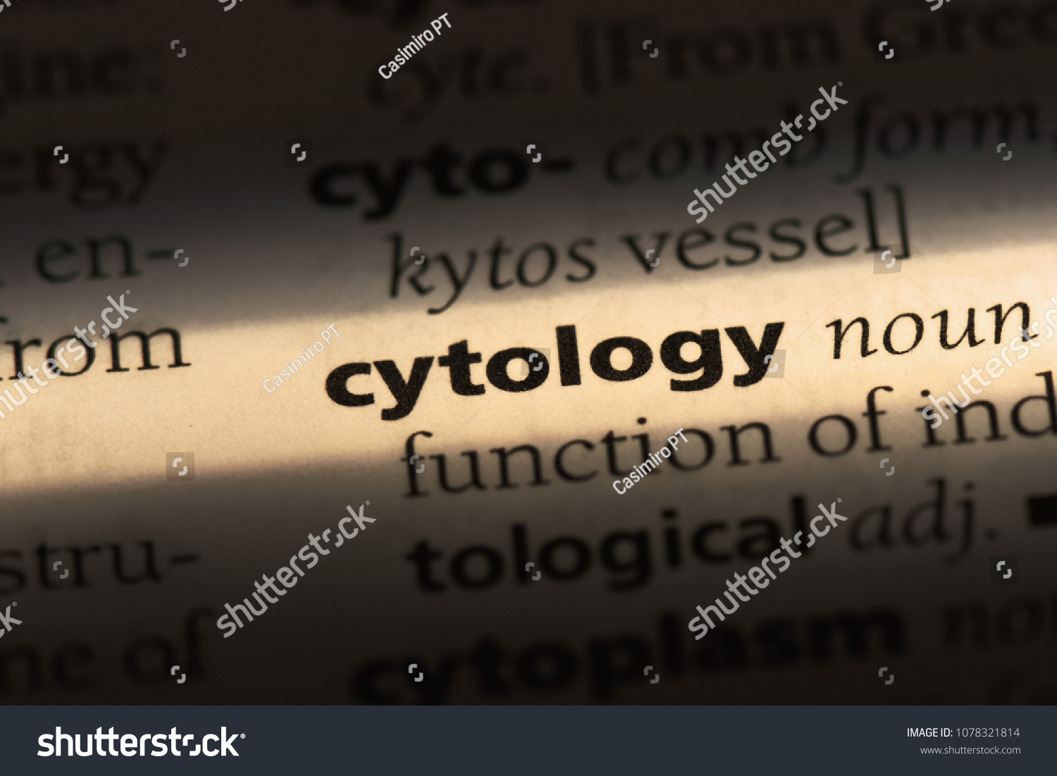 Cytology Word Dictionary Cytology Concept Stock Photo 1078321814 ...