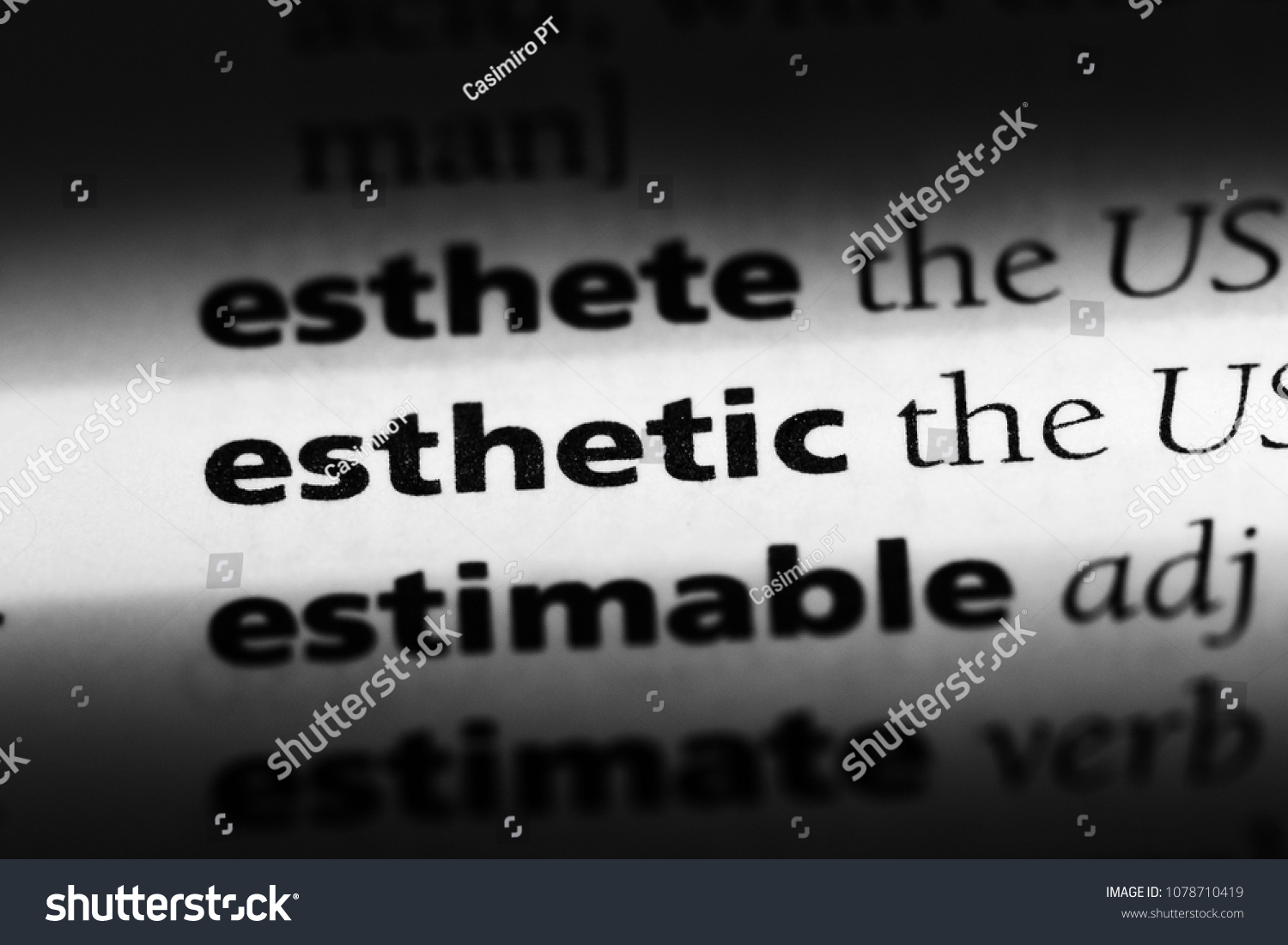 esthetic-word-dictionary-esthetic-concept-stock-photo-1078710419