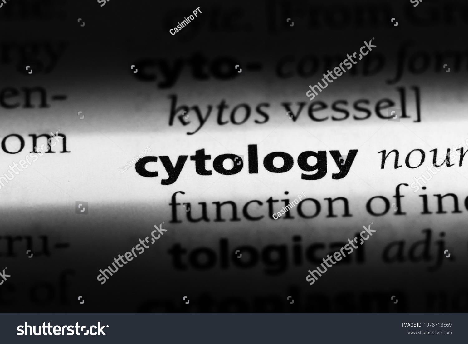 Cytology Word Dictionary Cytology Concept Stock Photo 1078713569 ...