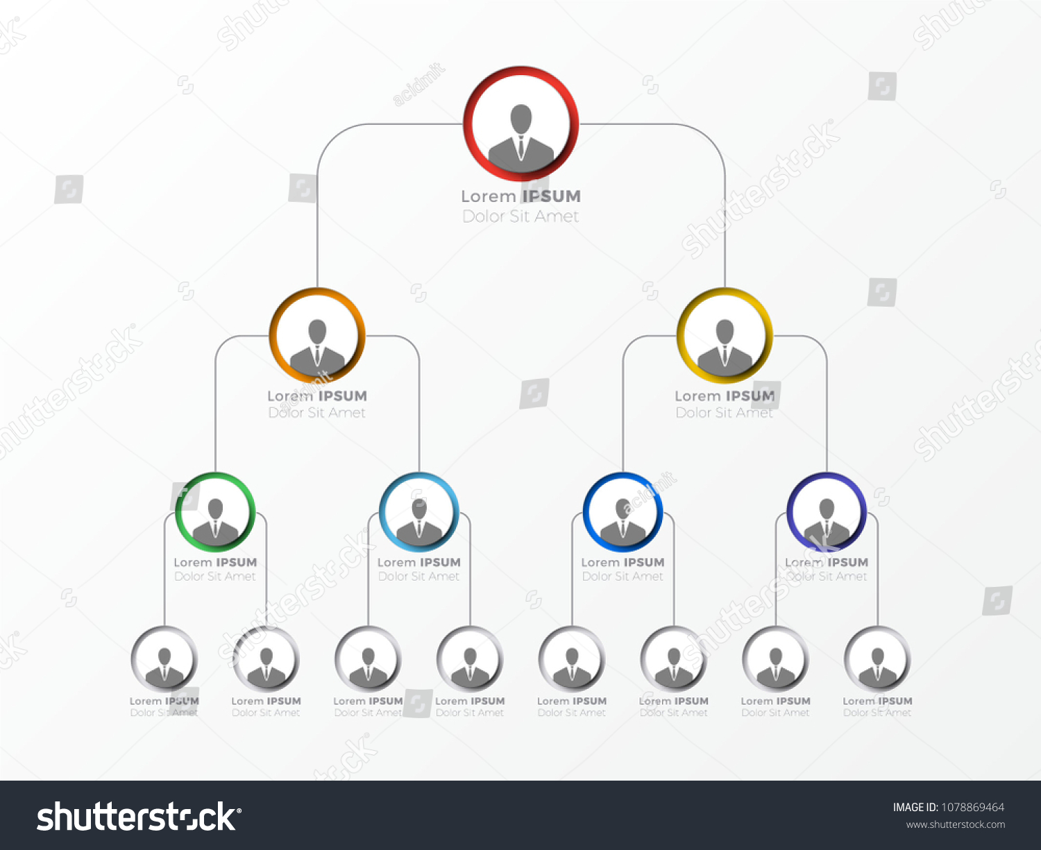 Organizational Structure Company Business Hierarchy Infographic Stock ...