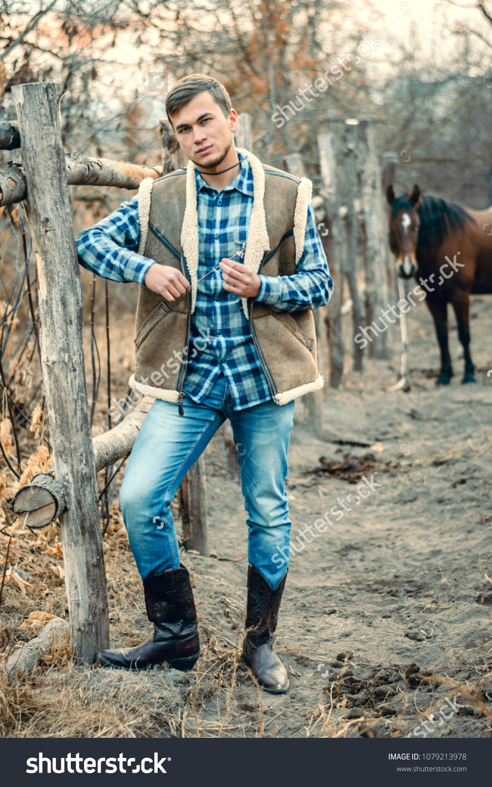 horse wearing cowboy boots