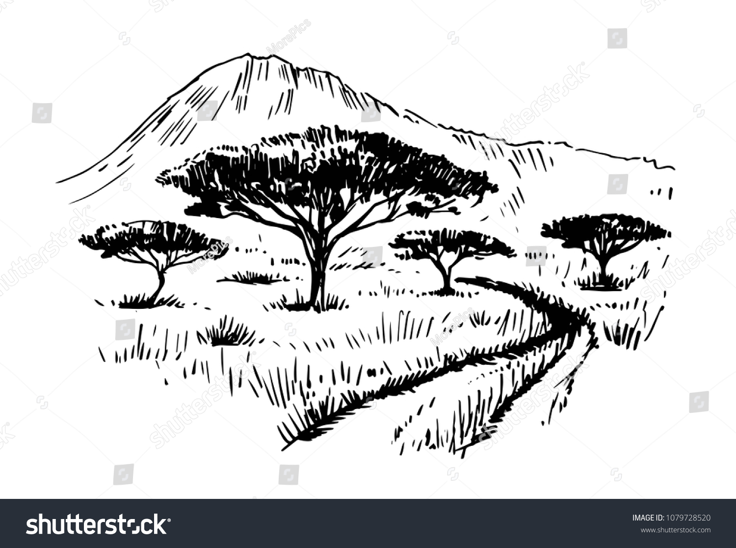 Sketch African Savanna Plants Trees Hand Stock Vector (Royalty Free ...