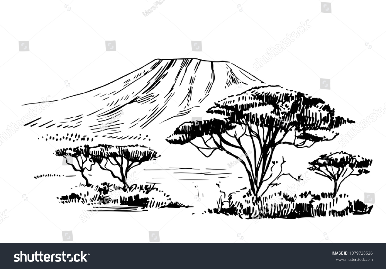 Sketch African Savanna Plants Trees Hand Stock Vector (Royalty Free ...