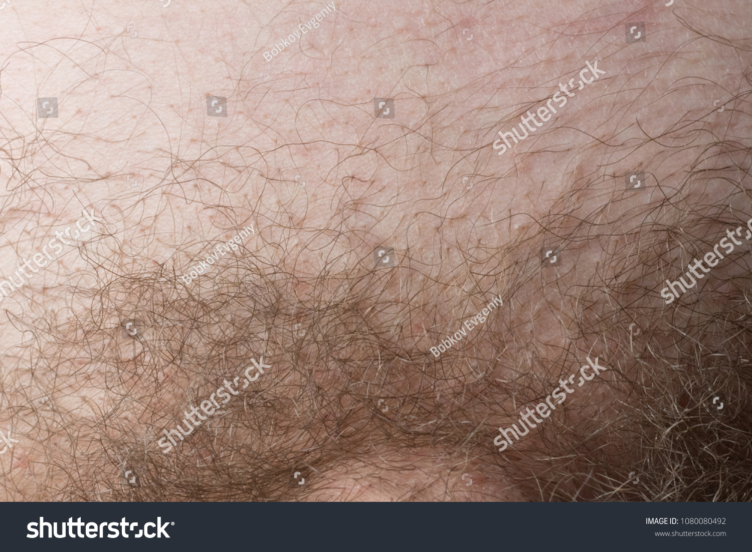 Man Haircut Pubic Hair Closeup Concept Stock Photo 1080080492 Shutterstock.