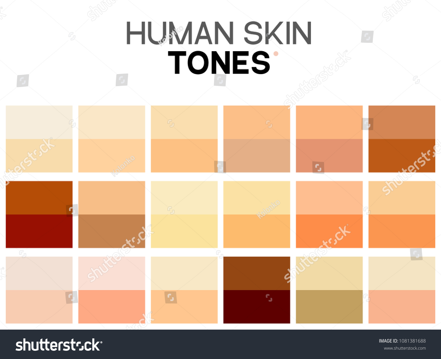 Skin Tone Color Chart Human Skin Stock Vector (Royalty Free) 1081381688 ...