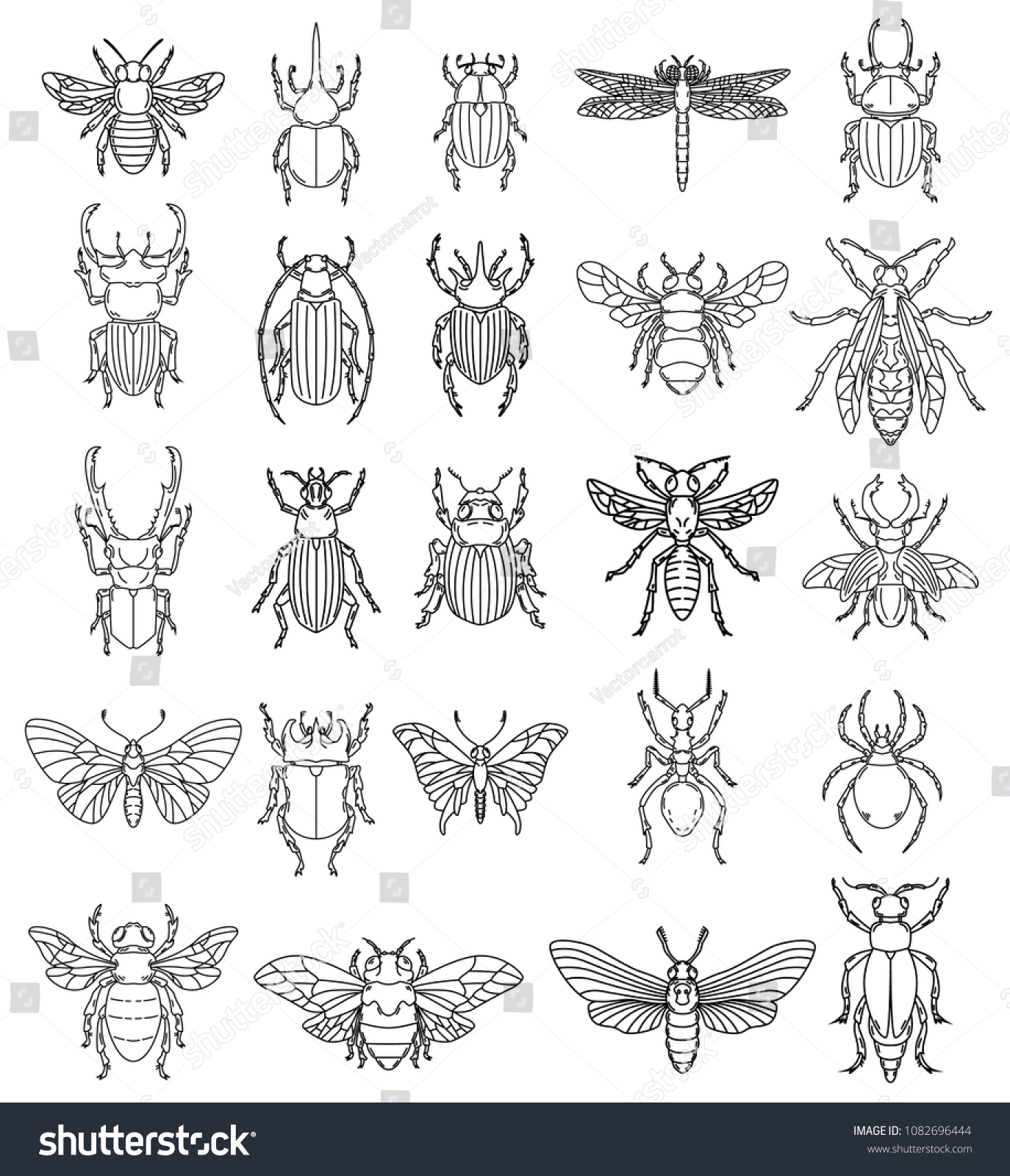 Set Insects Illustrations On White Background Stock Vector (Royalty ...