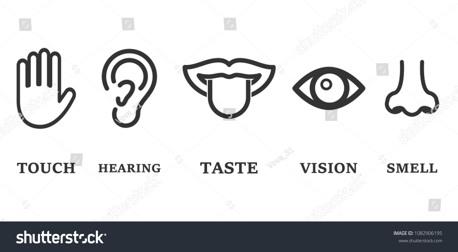 Icon Set Five Human Senses Vision Stock Vector (Royalty Free ...