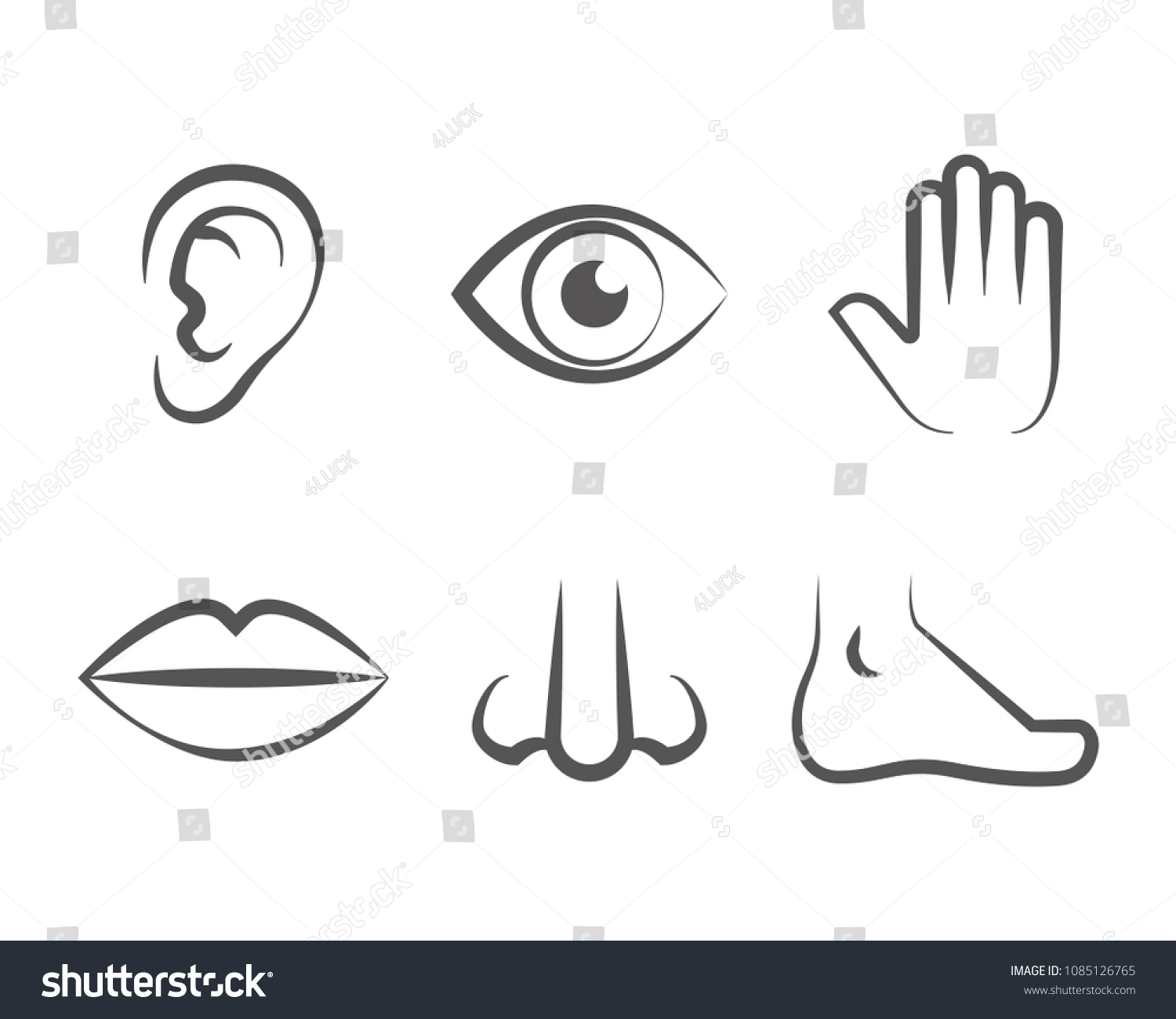 Vector Set Human Senses Drawing Icon Stock Vector (Royalty Free ...