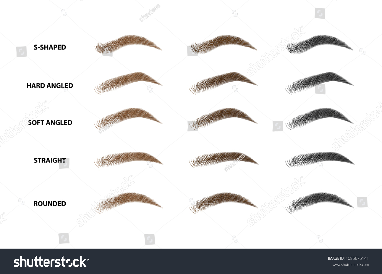 types-eyebrows-vector-illustration-stock-vector-royalty-free